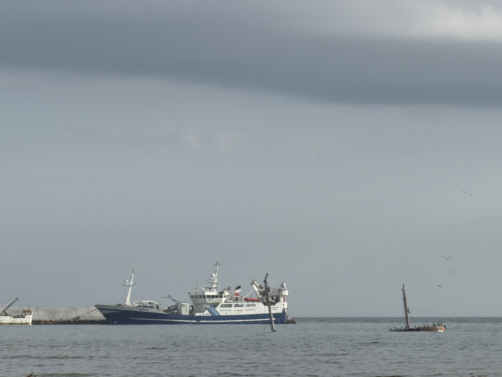 A large blue and white fishing vessel is anchored in the ocean, close to a concrete breakwater. To the right of the main vessel, a smaller, partially submerged boat with a single mast stands in the water. Several birds are perched on the mast and the deck of the submerged boat, and more birds can be seen flying in the sky above. The sky is overcast with dark clouds. The water is choppy and gray. The location is Yuzhno-Kurilsk, Russia.