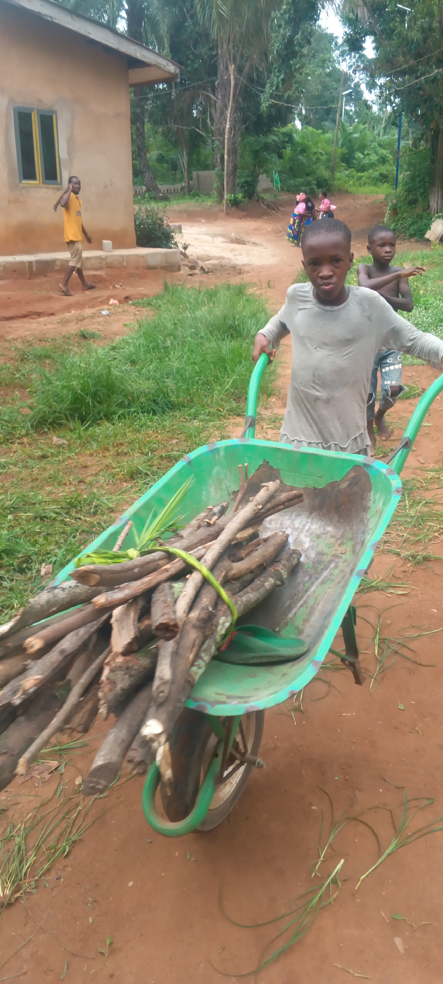 In Eziudo, Nigeria, a young boy pushes a green wheelbarrow filled with gathered firewood tied with a green vine. Another boy, bare-chested, stands behind him. In the background, a man walks past a single-story building with a yellow-framed window, and several girls stand on a sandy path beneath trees. The ground is a mix of dirt and grass.