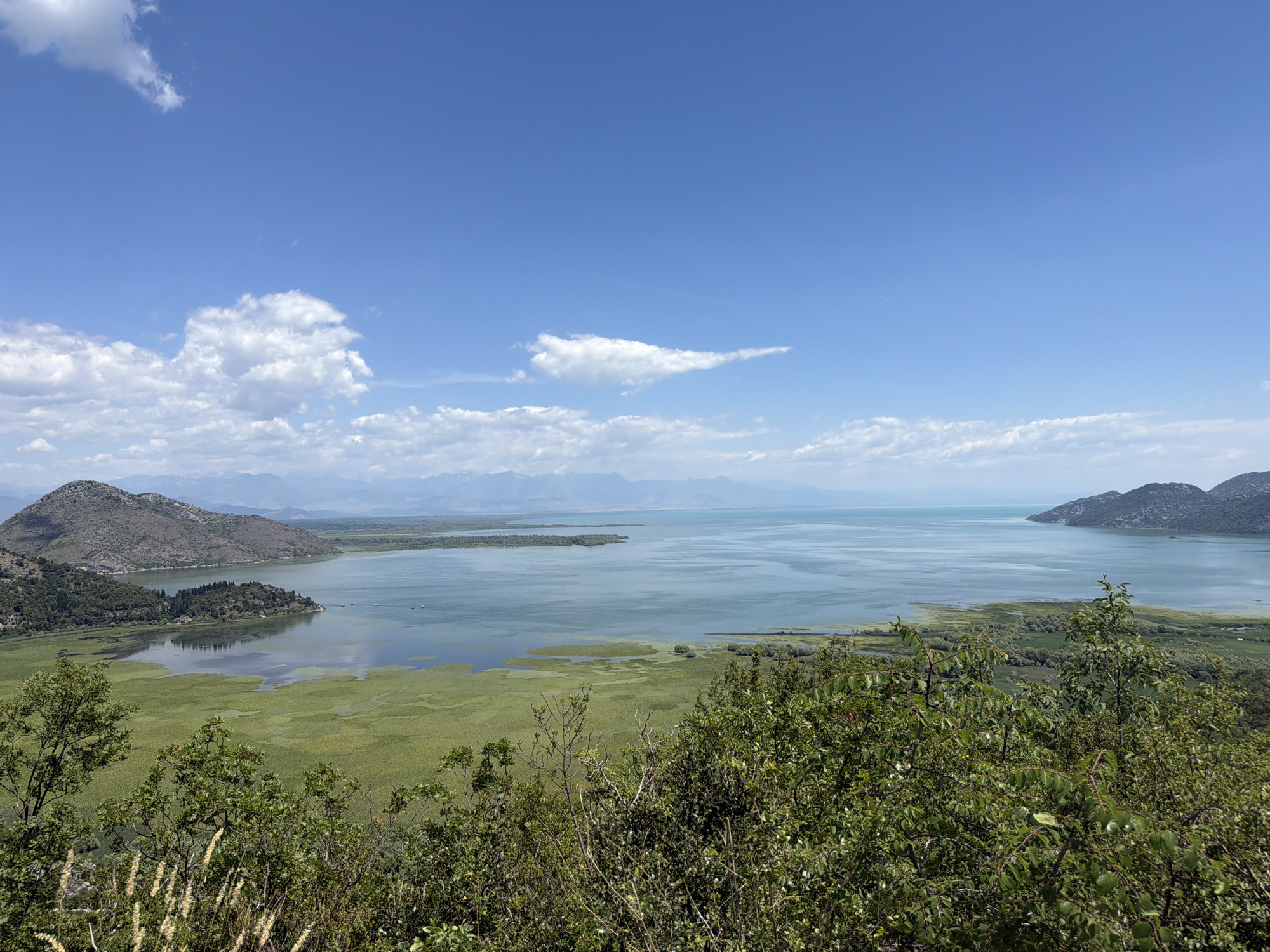 This is an aerial landscape photograph of Skadar Lake, located in Kruševica, Montenegro. The image captures a wide vista of the lake under a clear blue sky dotted with white clouds. In the foreground, dense green foliage and dry grasses frame the scene. The middle ground reveals a vast expanse of water, with patches of vibrant green lily pads and reeds creating a mosaic on the lake's surface. Several small islands covered in trees dot the water, and a few white boats are visible. The background features rolling, tree-covered hills and mountains that fade into the distance, meeting the horizon. The water appears calm and reflects the blue of the sky and the green of the surrounding vegetation.