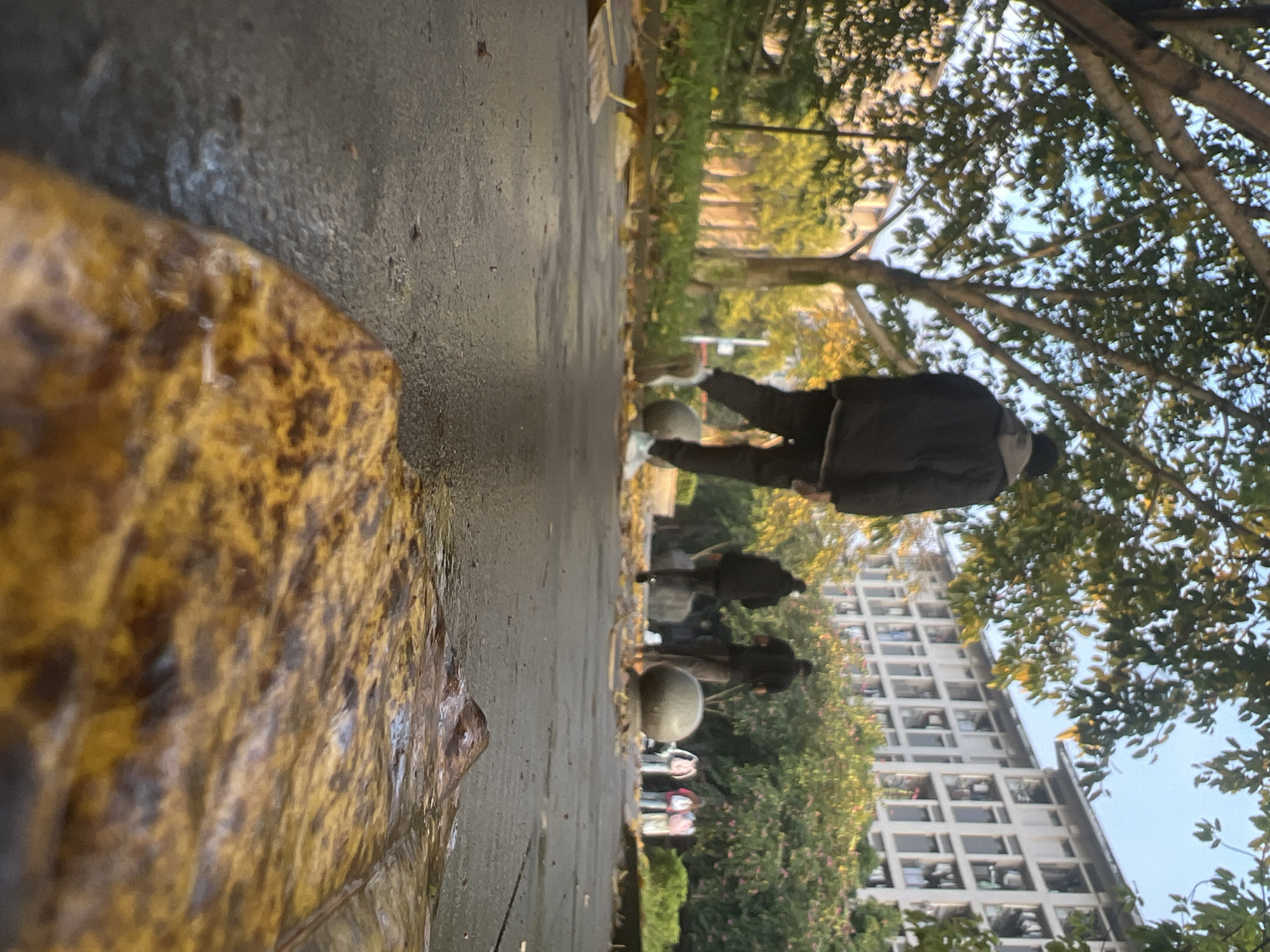 The image depicts a street scene in Jiangjin, China. The foreground features a large, wet, yellow-brown leaf close to the camera. The pavement is wet and leads into the background. Several people are walking along the path, their figures somewhat blurred. In the background, there's a tall apartment building with many windows, partially obscured by green trees. The sky is visible through the branches, suggesting it may be a clear day. Street lamps are visible.