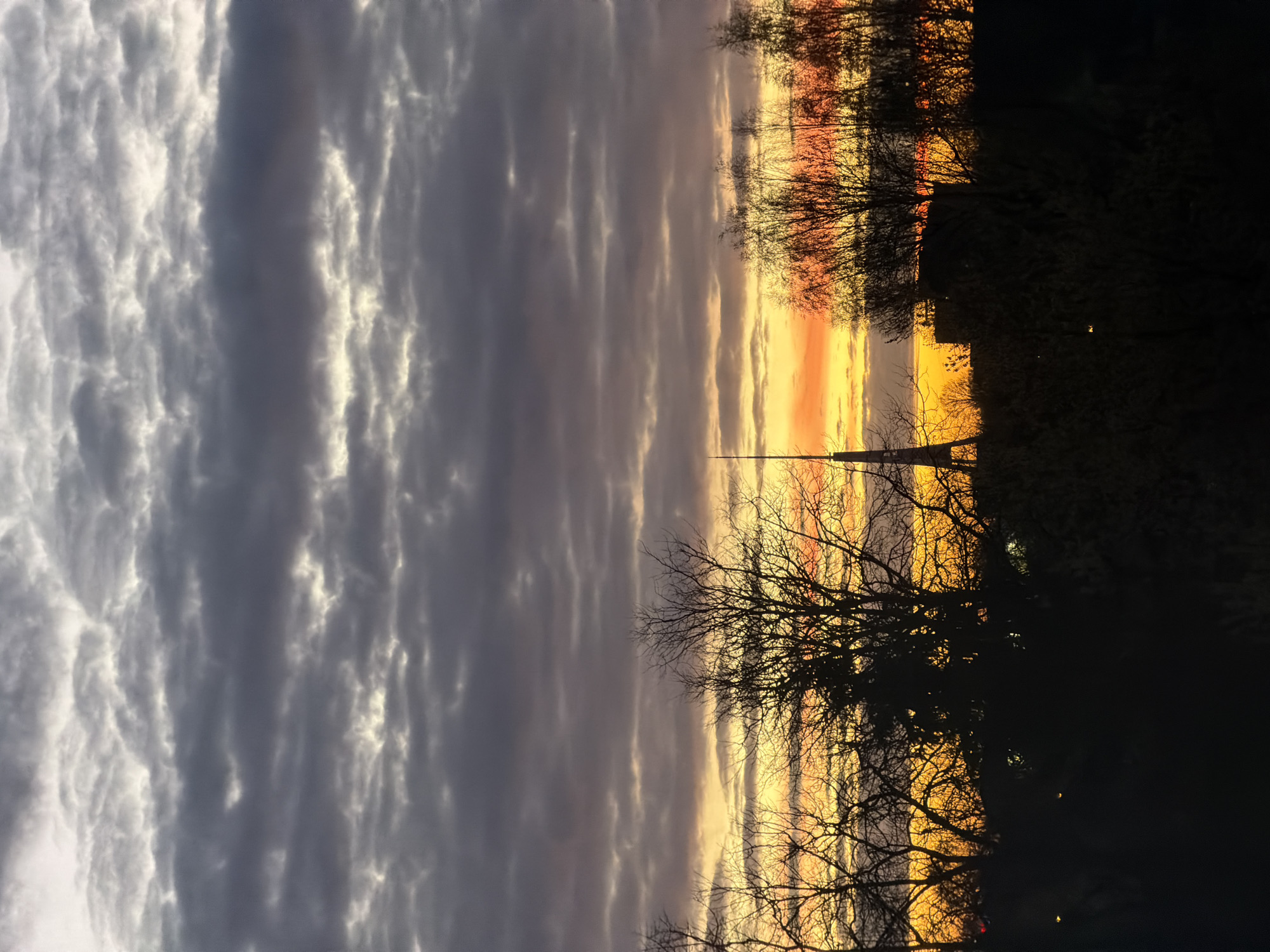 The image, correctly oriented, displays a dramatic sunset or sunrise over Riga, Latvia. The sky is divided into a vibrant spectrum of colors. A brilliant band of intense yellow and orange light dominates the horizon, indicative of the sun's position just below or at the edge, casting a profound glow. Above this, the colors soften into hues of pink, purple, and grey.
The upper sky is filled with diverse cloud formations. On the left, thick, textured clouds appear brightly illuminated, contrasting with the long, horizontal streaks of grey clouds that extend across the rest of the sky. These clouds exhibit varying densities, with their edges catching the warm light, creating intricate patterns.
The foreground is a dark silhouette of a landscape. Numerous leafless, deciduous trees with intricate bare branches form a dense, jagged line against the bright horizon, suggesting an autumn or winter setting. A slender, prominent pole, possibly a utility pole or flagpole, stands tall in the middle of the silhouette. Subtle, distant artificial lights can be discerned within the dark foreground, hinting at urban or suburban structures beyond the trees. The scene evokes a sense of tranquil beauty and the dramatic natural light of dusk or dawn. No discernible text is visible.