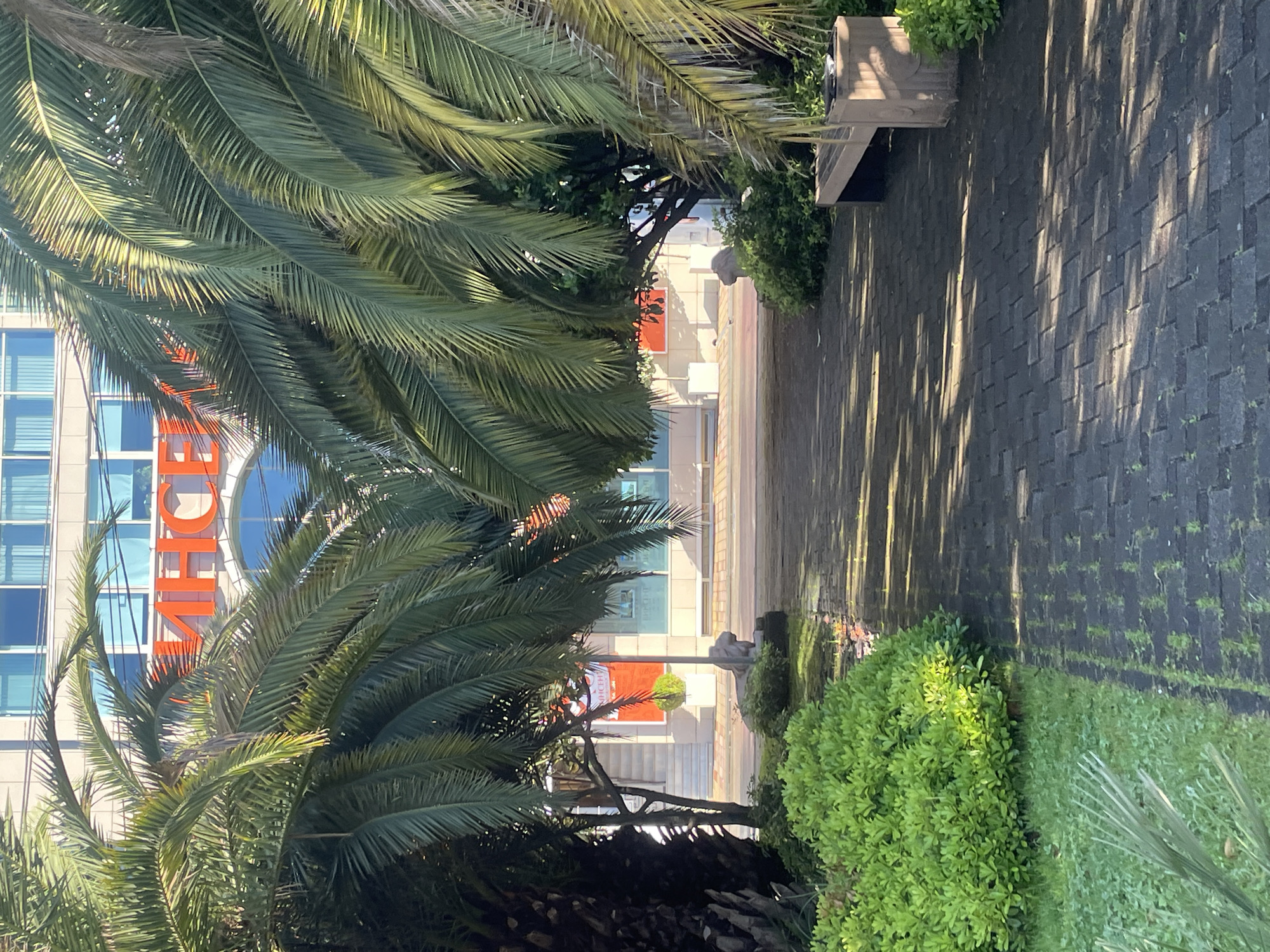 This media file captures an outdoor scene in what appears to be a well-maintained urban or resort area. The image is dominated by lush green palm trees, which fill the left side and foreground, casting shadows and framing the view.
In the background, a modern, multi-story building with large, reflective windows is visible. On the side of this building, large orange letters are displayed. The clearly visible part of the text spells "ЦЕНТР" (CENTER). Partially obscured letters preceding this suggest the full text might be "БИЗНЕС-ЦЕНТР" (BUSINESS CENTER).
To the right, a paved pathway made of dark rectangular blocks extends into the distance. This pathway is illuminated by strong sunlight, which casts long, dappled shadows from unseen trees or structures, indicating a sunny day, likely late morning or afternoon. Bordering the pathway on the right are manicured green bushes and some grassy areas. A wooden park bench with a solid back and armrests is situated near the pathway on the right side.
The scene is static, with no people or explicit activities taking place. The overall impression is one of a clean, contemporary public space, characteristic of a city like Sochi.