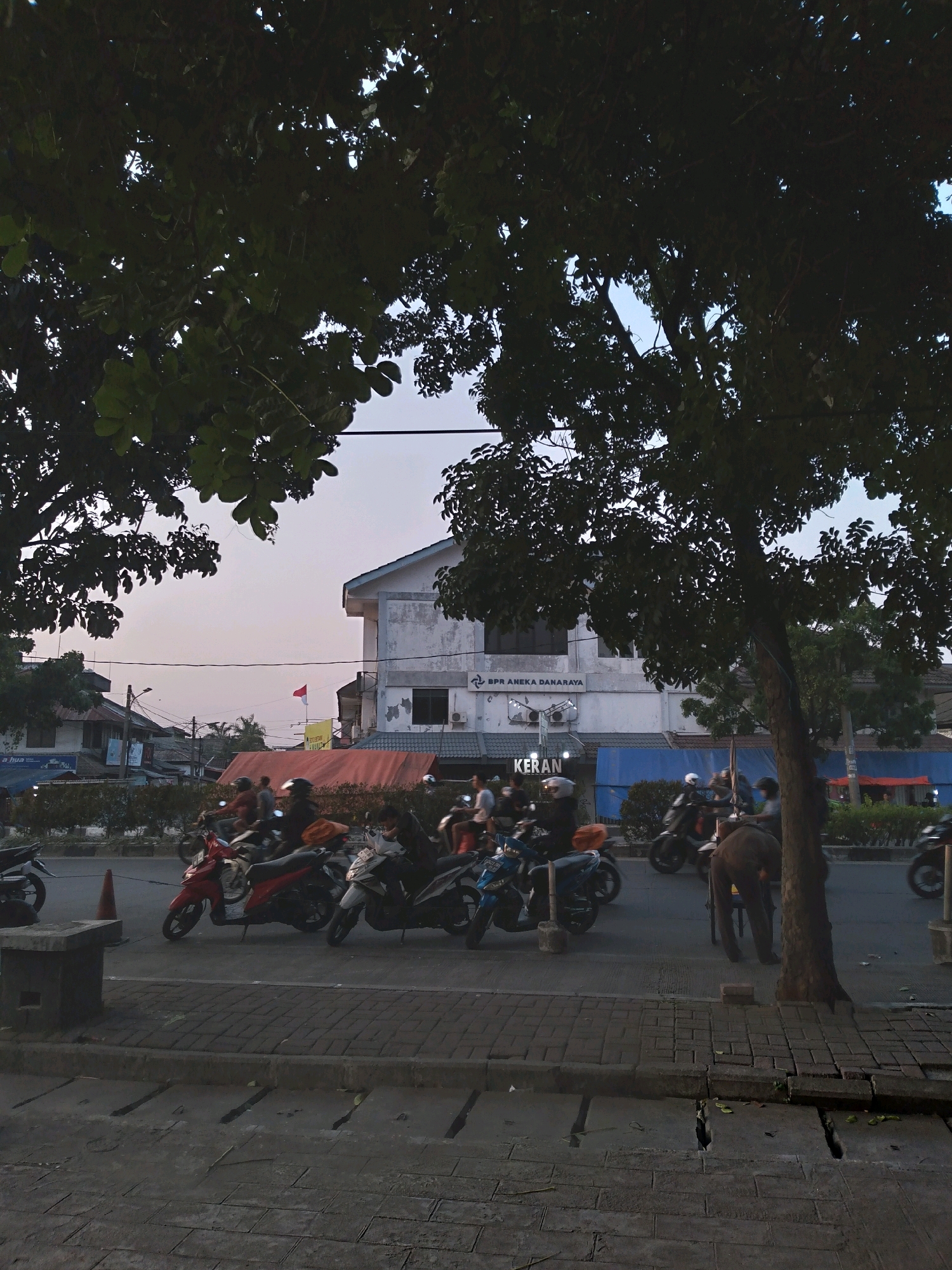This image captures a street scene in South Tangerang, Indonesia, likely during the late afternoon or early evening. Dominating the foreground are the lush, dark green leaves of a large tree, casting shadows and partially obscuring the view of the street and buildings beyond. The street is lined with parked and moving motorcycles, indicating a common mode of transportation in the area.
Several individuals are visible, some riding motorcycles and others standing. In the middle ground, a building with white and light blue facade stands prominently. A red awning extends from the lower part of this building. Above the awning, text on the building reads "BPR ANEKA DANARAYA." To the right of this building, a smaller building with a blue awning is visible. A red and white Indonesian flag is flying from a pole on one of the buildings.
The sidewalk in the foreground is paved with dark rectangular stones and shows signs of wear and tear, with some visible cracks and drain covers. The overall lighting suggests it is not midday, with the sky exhibiting a soft, hazy quality. The scene is characteristic of a busy urban environment in Indonesia, with a blend of residential and commercial elements.