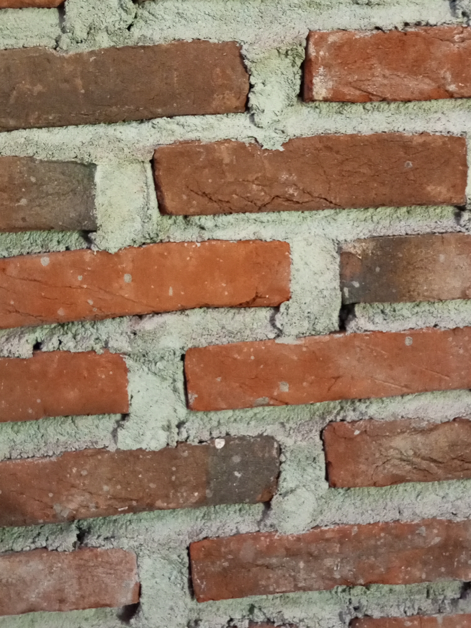 The image shows a close-up of a brick wall. The bricks are predominantly red and brown with some variation in color, and are rectangular. The mortar between the bricks is a light grey and has a rough, textured appearance. The location is Unknown, Unknown. There are no people or subjects visible in the image. The objects are bricks and mortar. There are no discernible actions or interactions. The environment consists solely of the brick wall.