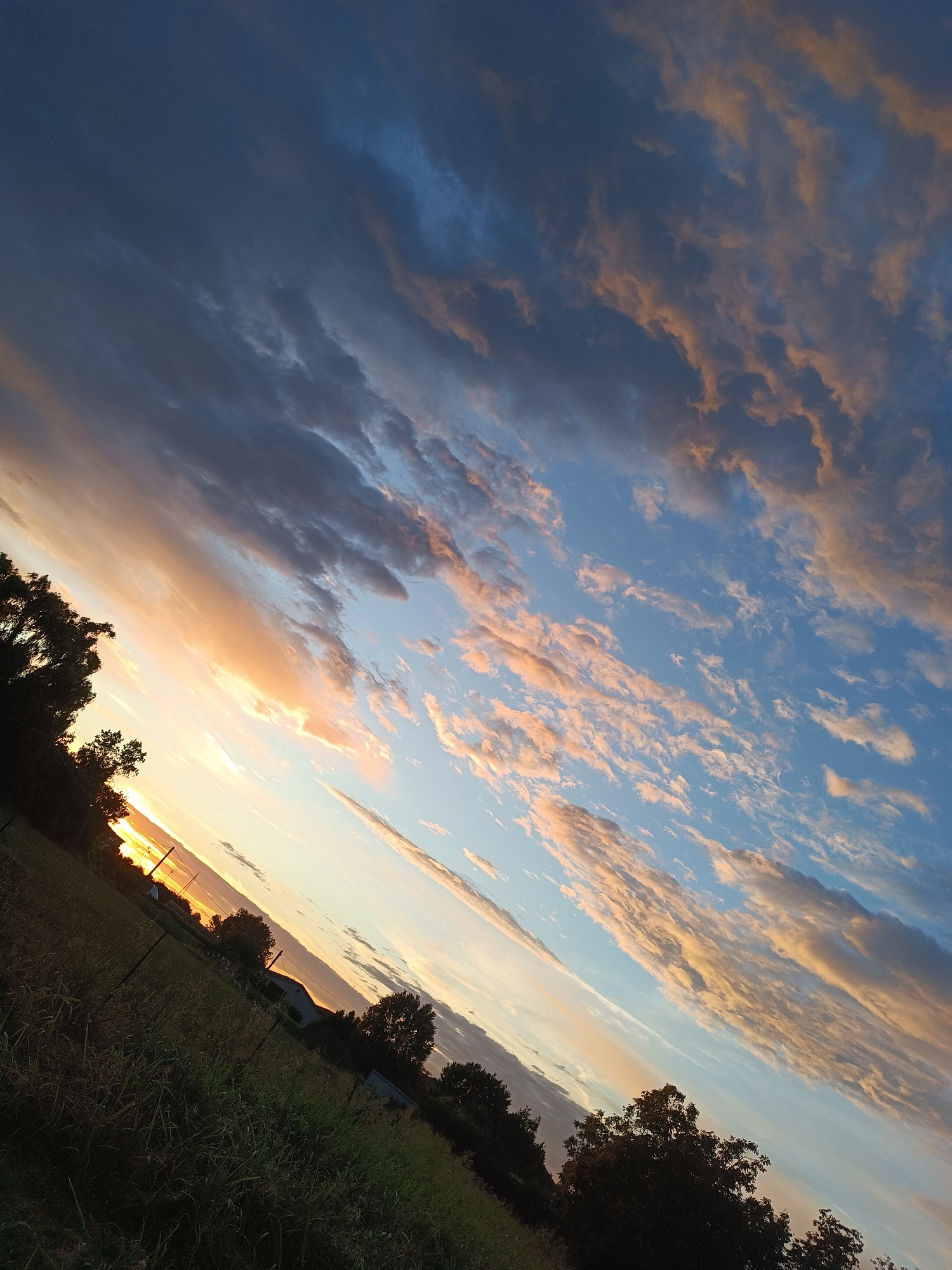 This is an image of a sunset over a rural landscape, tilted at an angle. The sky is filled with a dramatic mix of dark, brooding clouds and lighter, wispy clouds illuminated by the setting sun in shades of orange and pink. Below the sky, a field of tall grass and vegetation stretches across the foreground, with a dark line of trees silhouetted along the left side of the frame. A fence runs through the field, and in the middle ground, a building with a dark roof is visible, along with more trees. The scene appears to be located in a rural area, potentially on the outskirts of Viadana, Italy, given the vegetation and building styles. There are no people or animals clearly visible in the image.