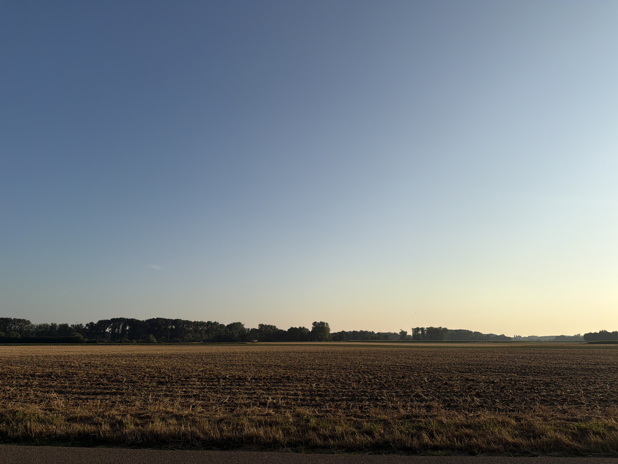 This is a landscape photograph taken at ground level, looking out over a harvested agricultural field. The field is covered in dry, brown stubble and soil, with visible furrows from recent plowing. A narrow strip of asphalt road runs along the bottom edge of the frame. In the background, a dense line of dark green trees forms a horizon against a pale, clear sky. The sky transitions from a deep blue at the top to a soft, golden hue near the horizon, suggesting either sunrise or sunset. The overall scene depicts a rural, agricultural environment. The location is identified as Melick, Netherlands. There are no people or animals visible in the image.