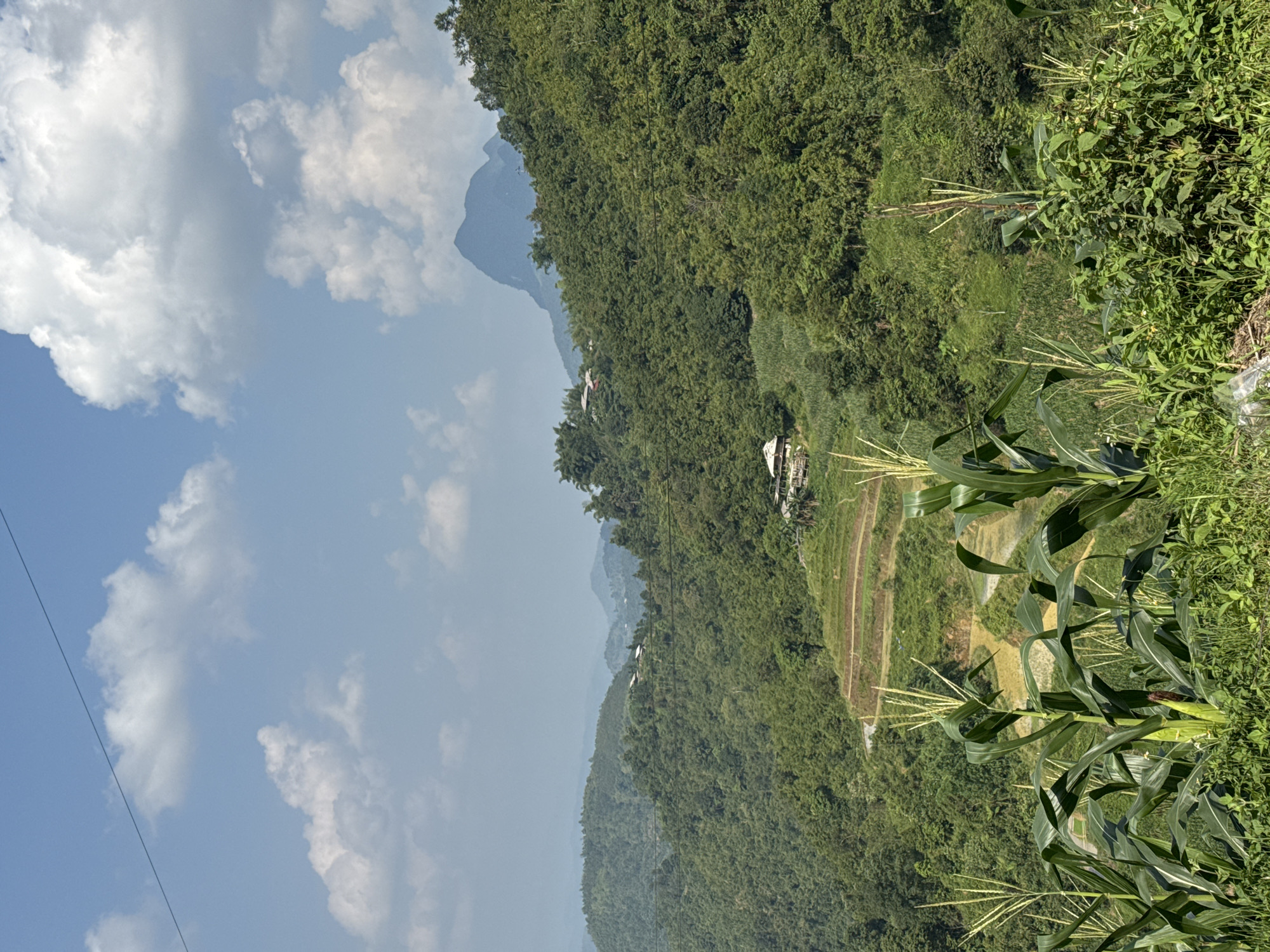 The image depicts a landscape in Mậu Duệ Commune, Vietnam. A mountain range is visible in the background, with lush green vegetation covering the slopes. In the foreground, corn plants grow on the right-hand side. Terraced fields are carved into the hillside. The sky is partly cloudy, with blue patches. Power lines run across the top left portion of the image. A building or house is visible among the trees.