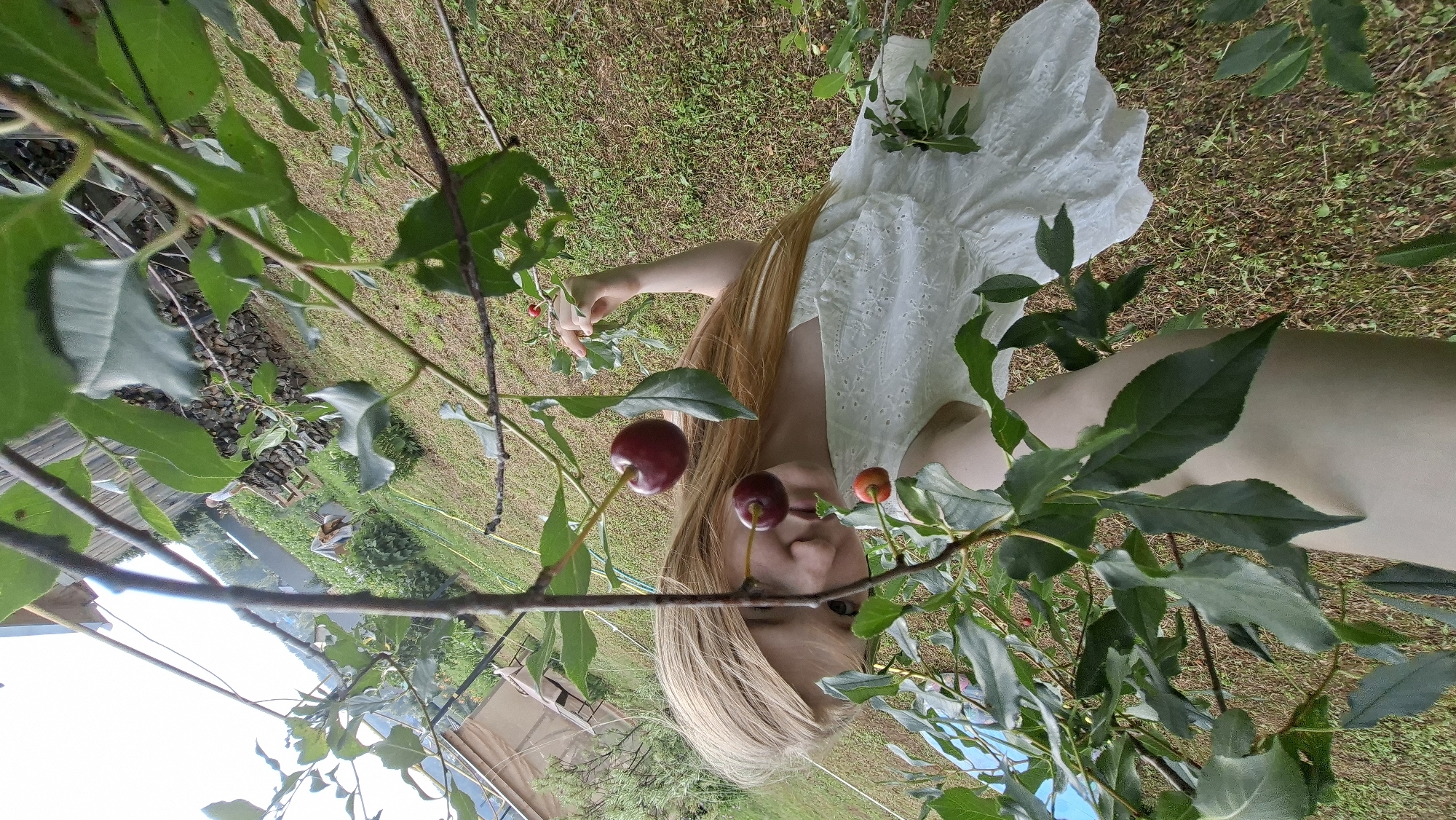 A young blonde girl in a white dress is reaching for cherries on a tree. The camera is positioned at eye level, looking up towards the girl and the cherries, creating a sense of intimacy and immersion in nature. The background shows a grassy yard with some scattered debris and a wooden fence. The lighting is bright and natural, suggesting an outdoor setting during the daytime. The overall mood of the image is peaceful and idyllic, evoking a sense of childhood innocence and the simple pleasures of summer. There is no information about the location in the city of Большой Букор, Russia.
