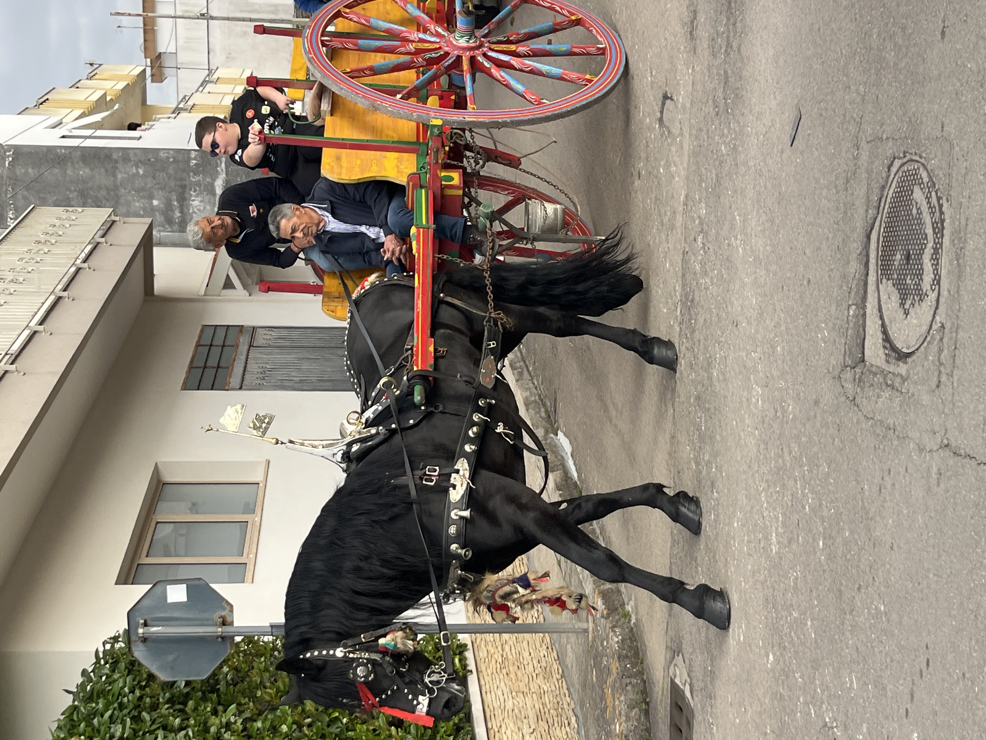 The image shows a horse-drawn cart in Aradeo, Italy. The cart is brightly painted with red and yellow colors and has large, decorative wheels. Three people are riding in the cart: two older men and a young boy. The horse is black and has ornate decorations on its bridle and harness. The cart is on a paved road next to a building with windows. A stop sign is visible on the left side of the image. The sky is overcast. A manhole cover is visible on the right side of the road.