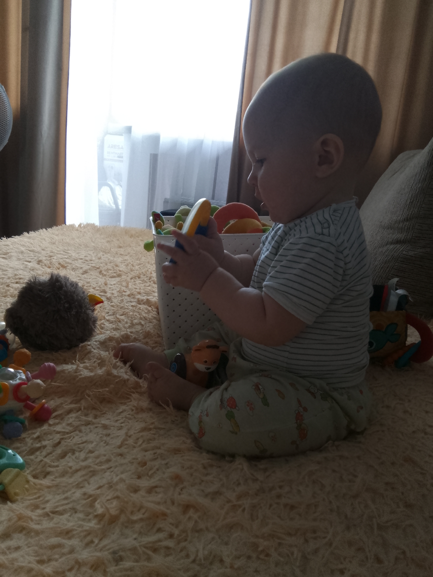 A full-shot, low-angle indoor photo shows a baby playing with toys on a fluffy, cream-colored carpet. The baby, with fair skin and a round head, is wearing a striped t-shirt and patterned pants. Their right hand is holding a yellow and blue toy, while their left hand is in a toy basket filled with various colorful toys. The baby is positioned in the right foreground, facing left, with their legs bent and feet visible. To the left of the baby, a grey, fuzzy, spherical toy is on the carpet. In the background, a white toy basket with a dotted pattern is filled with more toys. Behind the basket, a window is covered by sheer white curtains, allowing bright light to filter through, obscuring the view outside. To the left and right of the window are draped brown curtains. The lighting is soft and diffused, creating a warm atmosphere. No specific location in Minsk, Belarus is identifiable from the image.