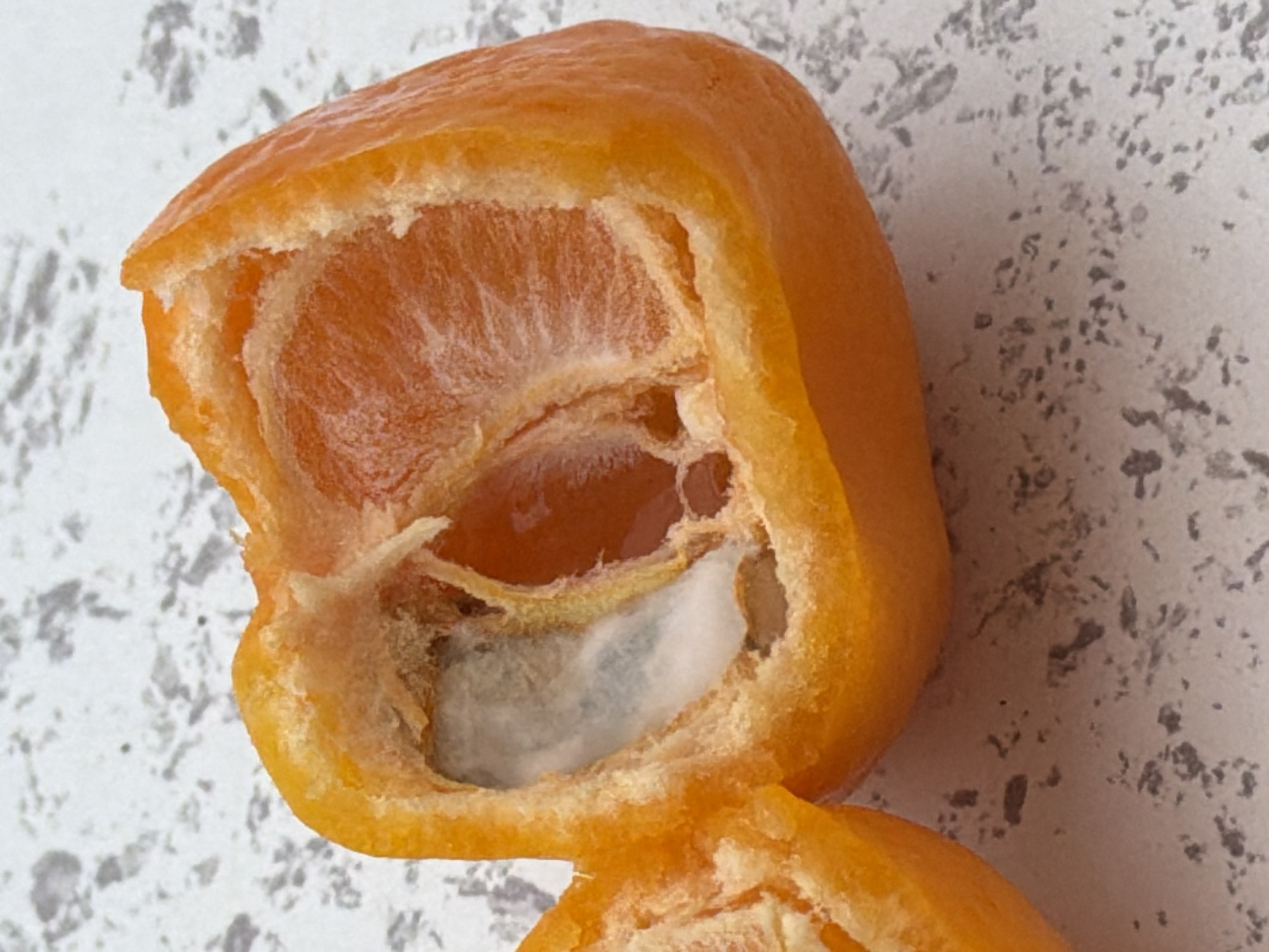 A halved, dried date sits on a speckled gray and white surface. A seed is present, and some mold growth is visible inside the date. The location is not specified or discernible in the photo.