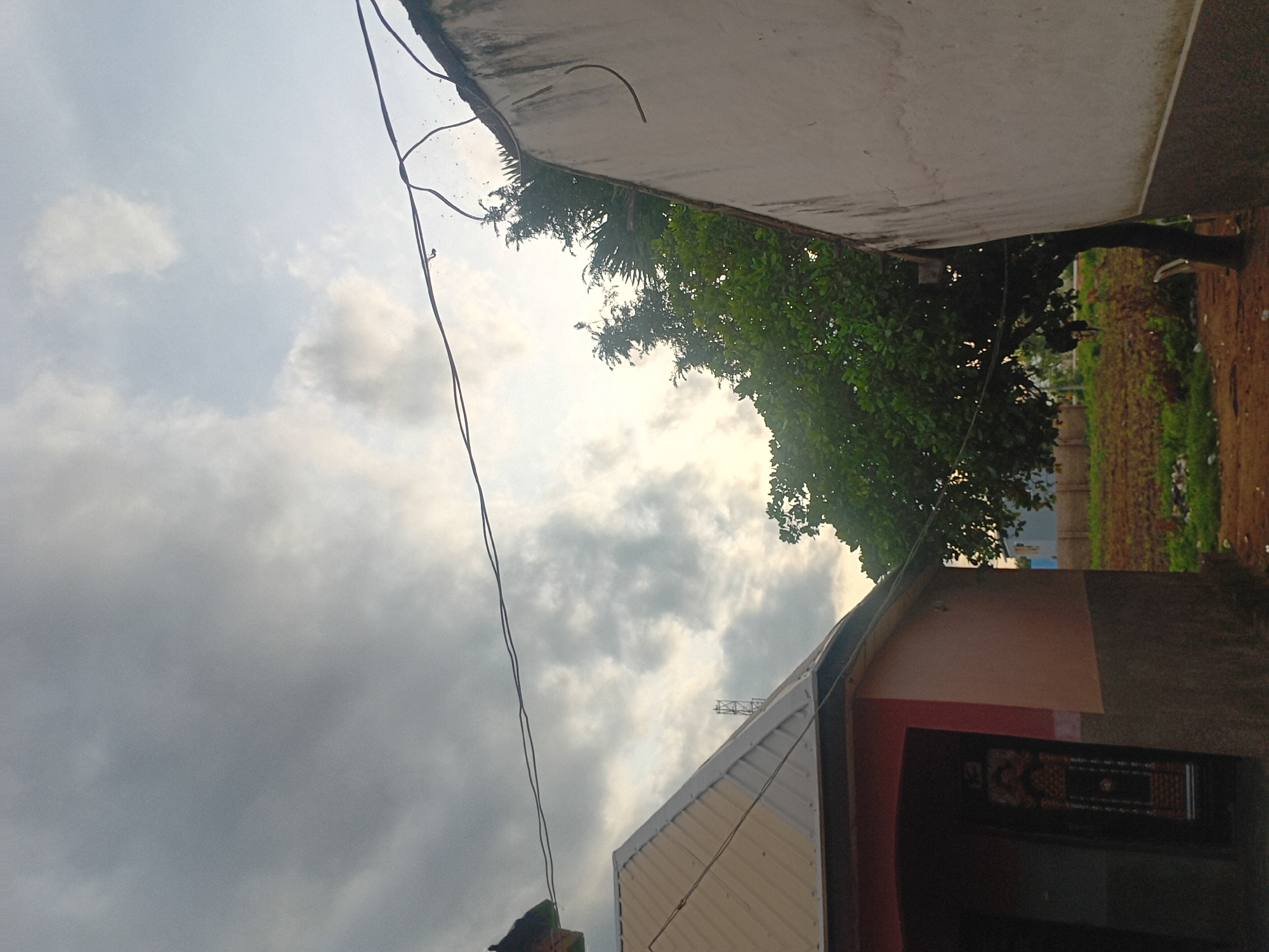 An overcast sky looms over a residential scene in Jauro Yinu, Nigeria. In the foreground, a building with a light-colored, corrugated metal roof and salmon-pink walls is visible on the left. An open doorway reveals a dark interior with a patterned door. To the right, a light-colored, textured wall of another building rises at an angle. A large, leafy green tree stands between the two structures, its branches reaching towards the sky. The ground in the midground appears to be cultivated with patches of dry earth and scattered green vegetation. A power line stretches horizontally across the upper portion of the image, casting a shadow on the sky. A distant cell tower is visible above the roofline of the building on the left.