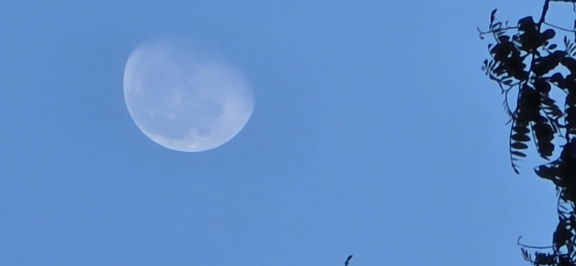 An outdoor scene shows a partial moon in a blue sky, with a tree branch silhouette visible on the right. The photograph was taken in Sahún, Spain.