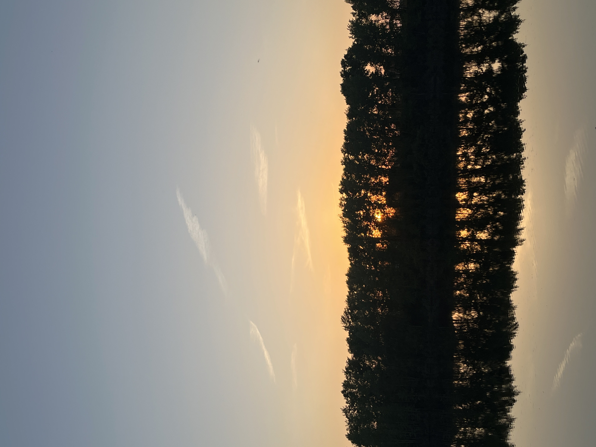 The image shows a sunset reflected in water, likely a lake or river. On the right, a dense line of trees obscures the setting sun, with golden light peeking through the foliage. The left side of the image depicts the sky, transitioning from blue to a warm orange hue closer to the horizon. Streaks in the sky suggest contrails or high cirrus clouds. The reflected image in the water mimics the trees and sky, creating a symmetrical composition.
While it's possible this scene could be in Chaikovsky, Russia, based on the information provided, there is no data on the image that confirms that information. The image only provides a landscape scene.
