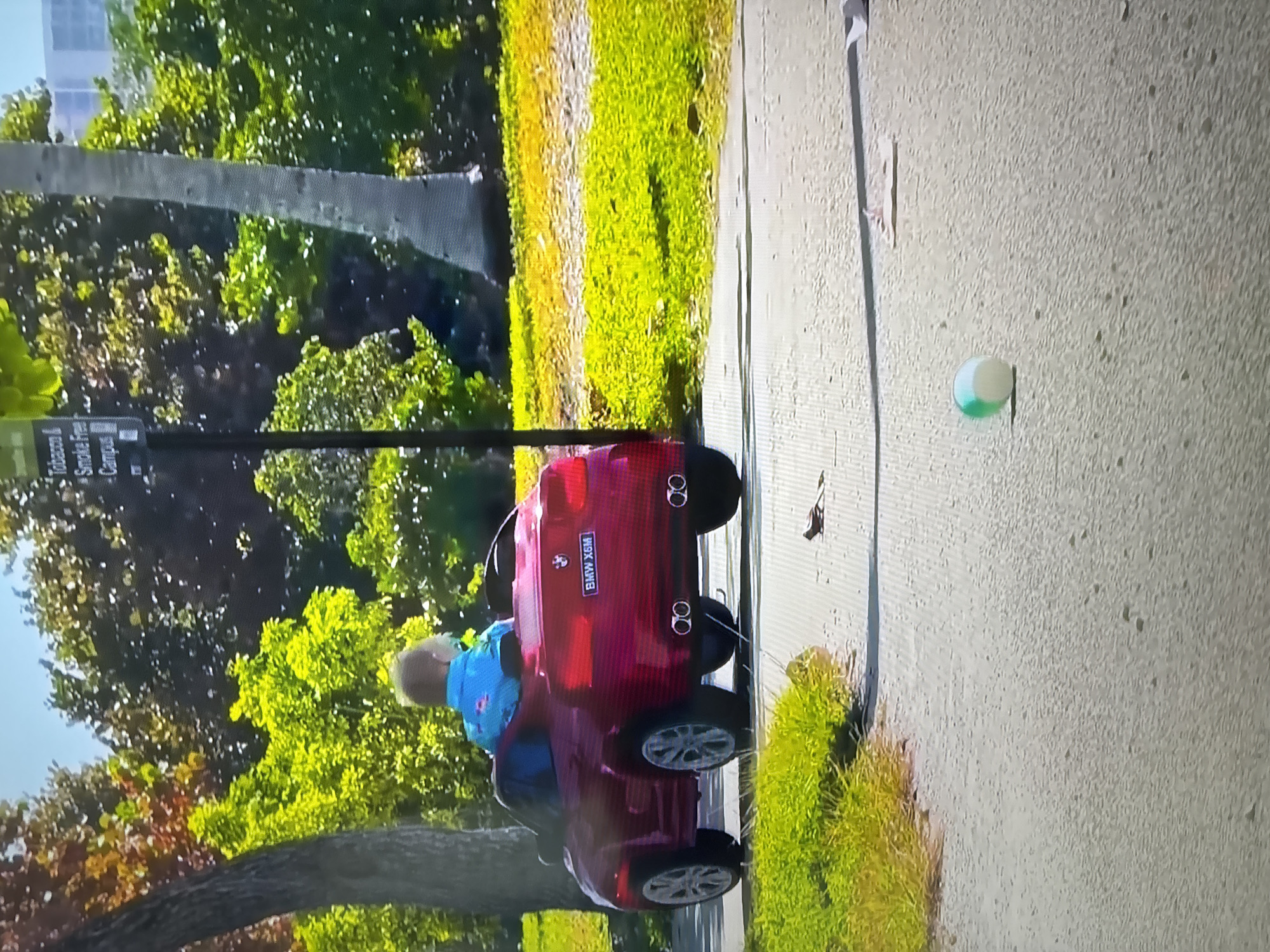 A rear view of a child in a blue shirt sitting in a small red toy car, possibly a BMW X6M, on a paved path in a park. The child is facing away from the camera, looking towards the path ahead. The car has silver wheels and decorative exhaust pipes. To the right of the car, a small striped bird is on the path. Further ahead on the path, a green and white ball is visible. The background consists of lush green trees and a palm tree, with a bright blue sky overhead. A signpost with text is partially visible in the background. The scene appears to be in a well-maintained park area.