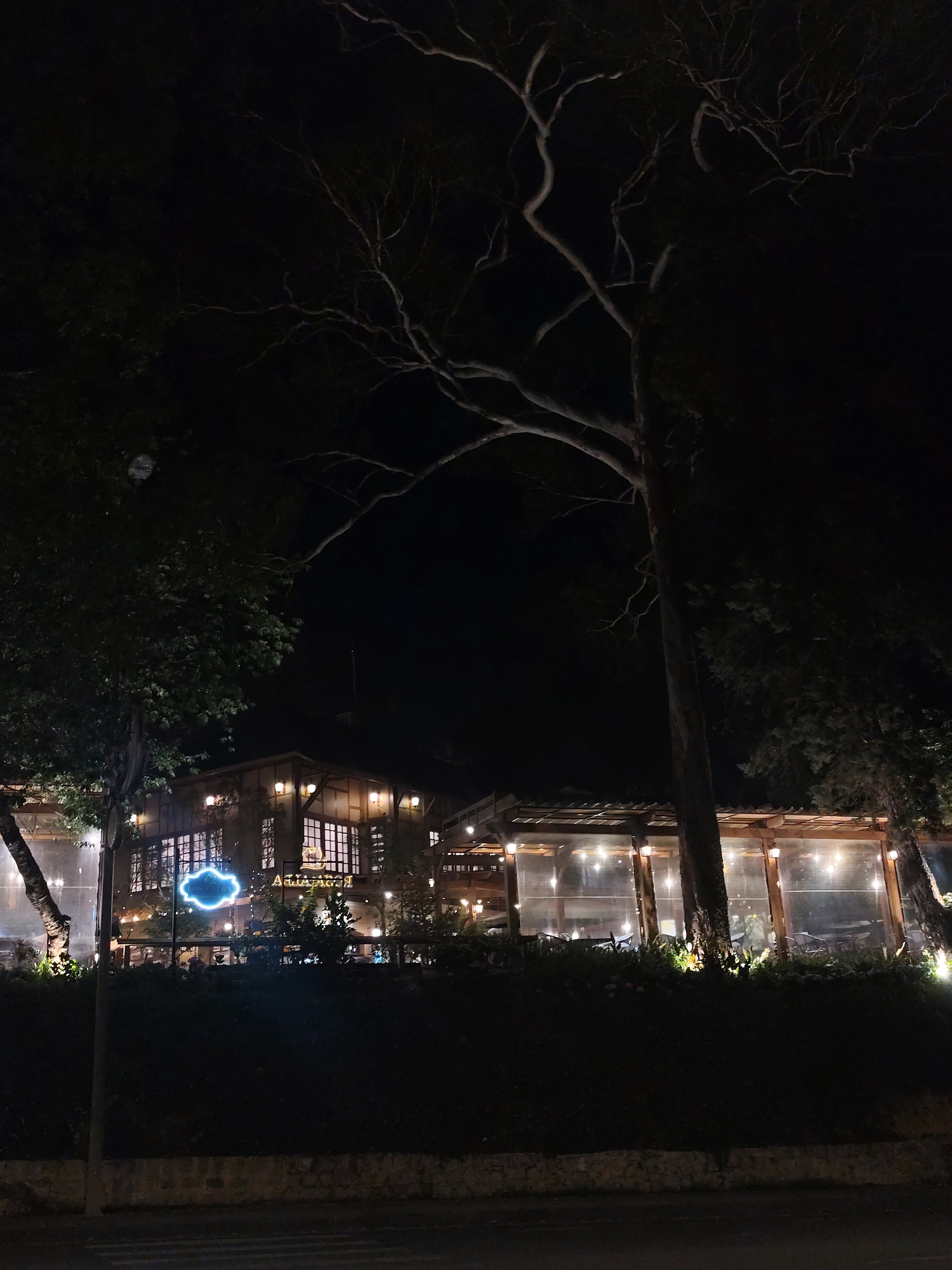 At night, a building with illuminated windows and a covered outdoor dining area are partially visible behind a dark hedge or low wall and tall trees. The name "ROSE VALLEE" is lit in blue neon above the entry to the main building, near the name of the building in a darker color. The outdoor dining area has a wooden frame and translucent walls with lights strung above each table. Bare tree branches reach up into the night sky above the building. The location is identified as Da Lat, Vietnam. A portion of a dark paved road is visible at the bottom of the frame.