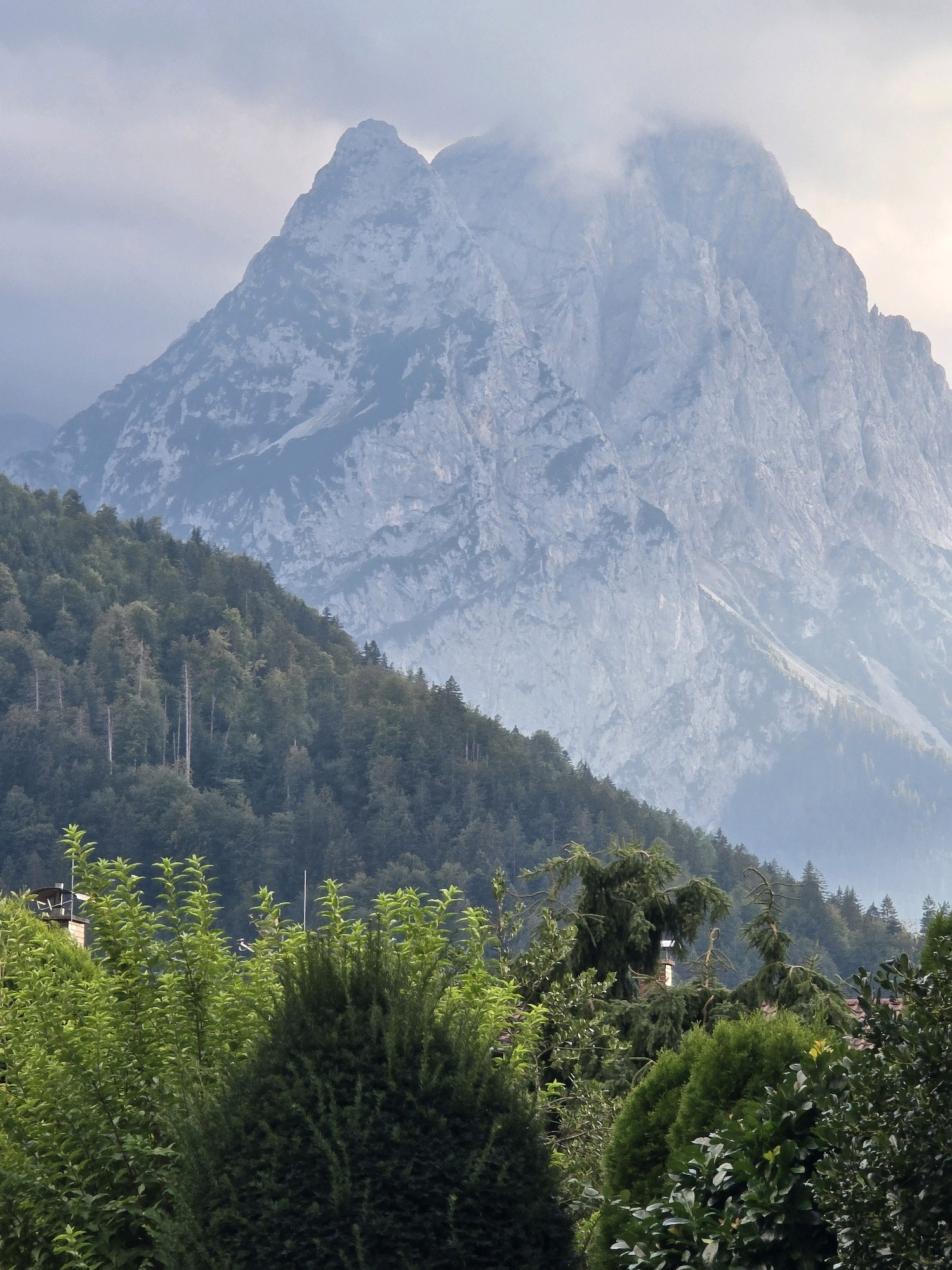 The image shows a mountainous landscape with lush green trees in the foreground. A prominent, rugged mountain peak dominates the background, partially obscured by clouds. The mountain appears to be made of grey rock with visible striations and textures. A dense forest covers the lower slopes of the mountains, with a mix of deciduous and coniferous trees. In the very bottom of the image, there are glimpses of rooftops and chimneys, suggesting a settlement at the base of the mountains. The overall atmosphere is serene and natural. This landscape is characteristic of the area surrounding Garmisch-Partenkirchen, Germany, which is known for its alpine scenery.