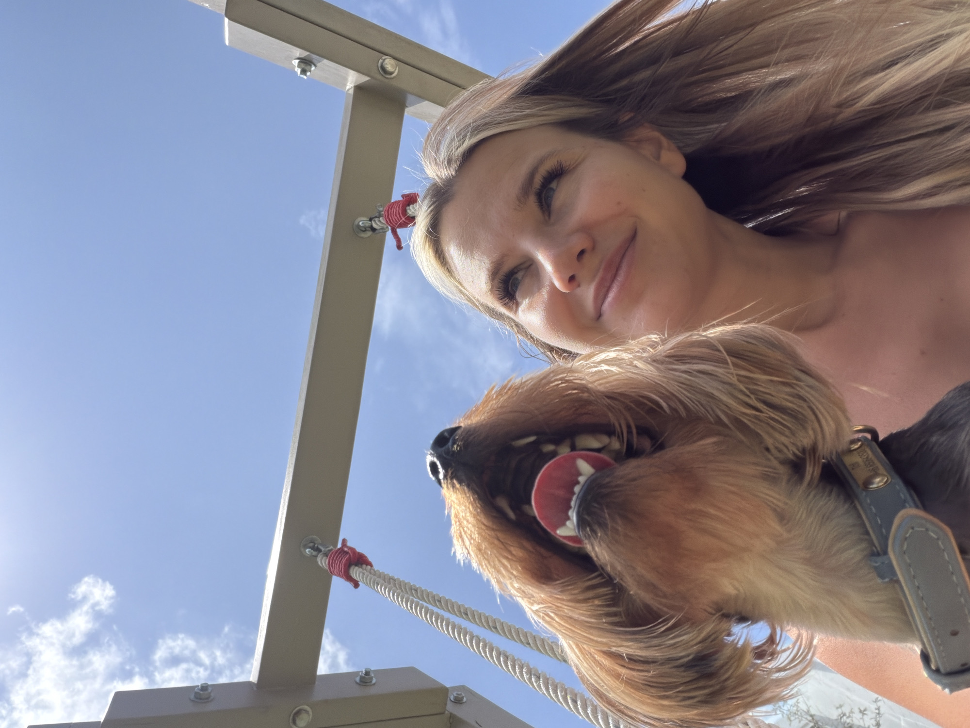 In Thep Krasatti, Thailand, under a bright blue sky with scattered clouds, a low-angle, close-up selfie captures a woman and her dog on a swing set. The woman, with long blonde hair blowing in the wind, smiles upwards, her eyes looking towards the sky. To her left and slightly in front, the dog, a small terrier breed with tan fur, is positioned in the foreground with its mouth open, tongue out, as if panting or excited. The dog wears a blue collar. The swing set's metallic structure is visible at the top of the frame, with thick ropes hanging down and attached to the metal beams by red ties. The scene appears to be outdoors, possibly a park or backyard.