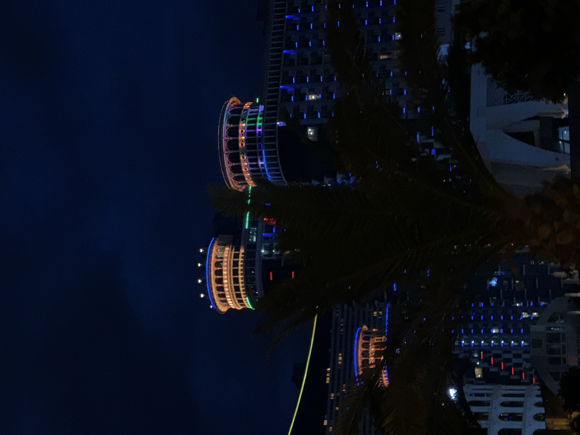 The image captures a nighttime view of the coastline in Batumi, Georgia, showcasing a cluster of modern buildings illuminated by colorful lights. The dominant structures are large hotels or residential complexes with distinctive architectural features, including rounded, multi-tiered tops that resemble amphitheaters or crowns. These tops are adorned with vibrant lights in shades of blue, orange, and purple. Below these ornate tops, the facades of the buildings are lit with rows of blue lights, creating a striking contrast against the dark sky. In the foreground, a dark silhouette of palm fronds partially obscures the view of the buildings, adding depth and a tropical ambiance to the scene. The overall impression is one of a lively, illuminated urban landscape at night, likely a popular tourist area or a section of the city known for its modern architecture and nightlife.