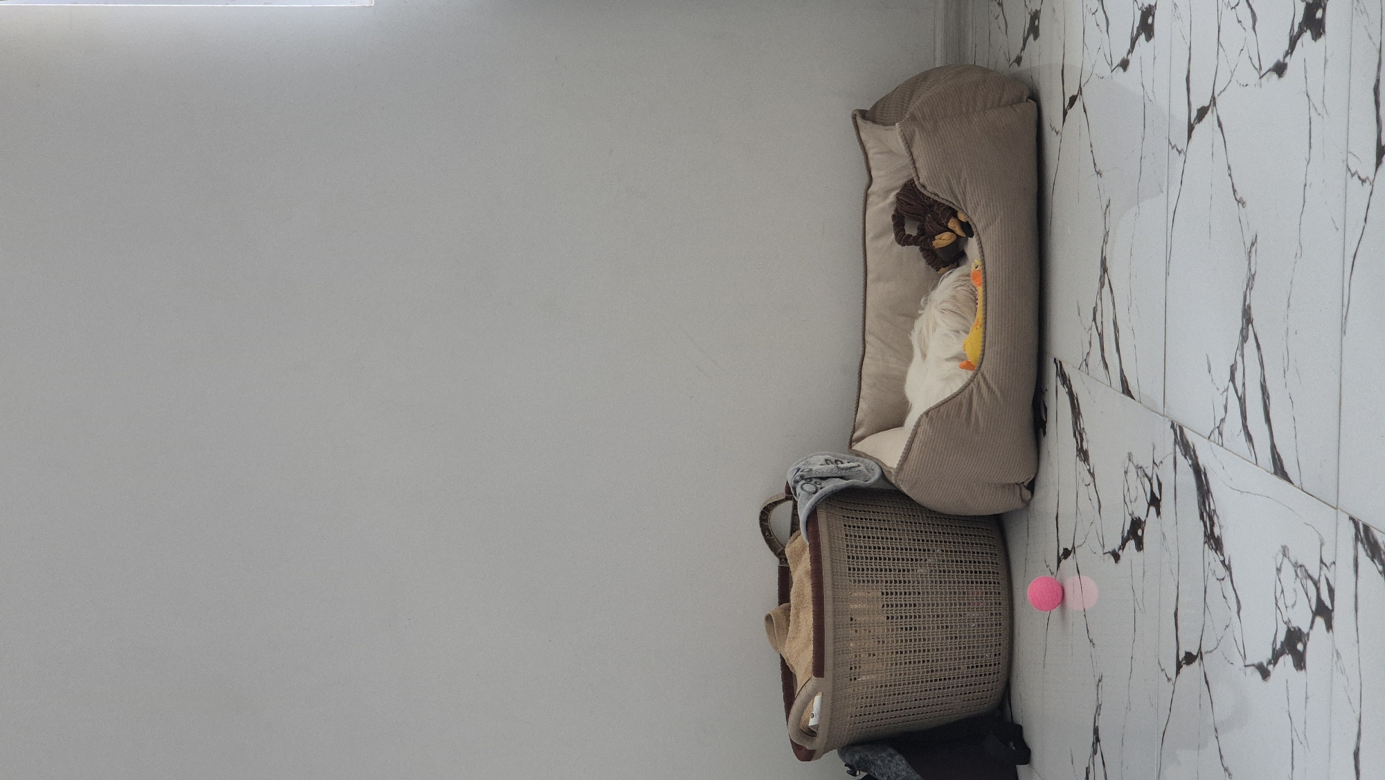 The image shows a pet bed containing a white dog and a yellow toy, placed on a white marble-tiled floor against a light gray wall. Below the bed, there is a woven basket with assorted items inside. Two pink balls are visible on the floor near the basket and the pet bed. The location is indoors, though the specific location in Batumi, Georgia is not discernible from the image.