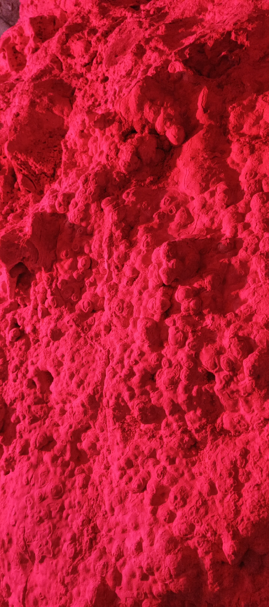 The image displays a highly textured, monochromatic surface dominated by an intense, vibrant magenta or fuchsia color. The subject is a close-up of an irregular, craggy formation, resembling a cave wall, a mineral deposit, or a rough rock face. The surface is covered in numerous small, rounded protuberances and knob-like structures, interspersed with deeper crevices and undulating forms, giving it a porous and organic appearance, similar to botryoidal clusters or coral formations.
Strong, directional lighting highlights the three-dimensional nature of the surface, creating pronounced contrasts between illuminated peaks and deep shadows, which further emphasize the intricate contours and rough texture. The extreme color saturation suggests either the natural color of the material or, more likely, illumination by colored light, such as from LEDs, giving the scene an otherworldly or abstract quality.
There are no visible people, distinct objects, or discernible activities taking place; the image is a static portrayal of this unique texture. No specific location cues, time of day, or weather conditions can be inferred due to the intense coloring and close-up, abstract nature of the shot. No text is visible in the image.
