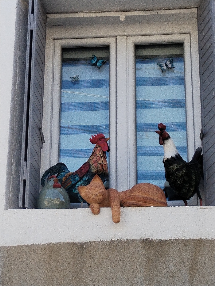 A window display features two roosters and a cat figurine. One rooster is multicolored with a red comb, while the other is black and white with a red comb. The cat is tan and lounging. Behind them, the window is covered with blue and white striped blinds, adorned with three blue butterflies. The window is framed by a white frame and gray shutters. The ledge below the window is white.