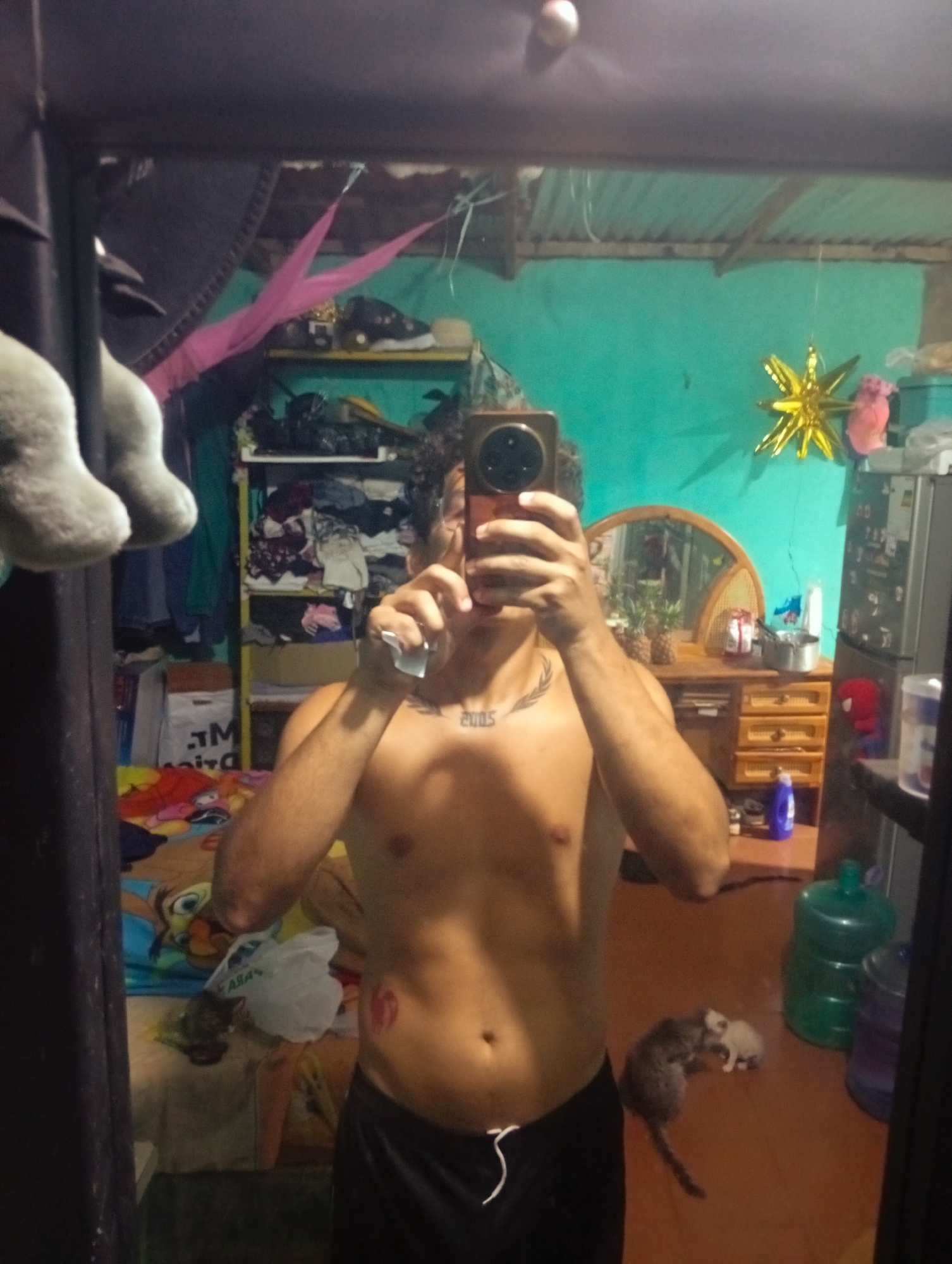 In a dimly lit room, a shirtless person is taking a mirror selfie, holding up a phone. The room appears to be a bedroom, with a bed covered in colorful sheets and blankets. Various items are scattered around, including clothes, bags, and shelves filled with more belongings. There is a large mirror reflecting the scene. In the background, two small cats are interacting on the floor. The walls are painted a bright turquoise color, and there are decorations like a golden star and some pink fabric hanging from the ceiling. A dresser with drawers and a mirror is visible, as well as a refrigerator. The overall impression is of a cluttered and lived-in space. The specific location in Altagracia, Venezuela cannot be determined from the visual information alone.