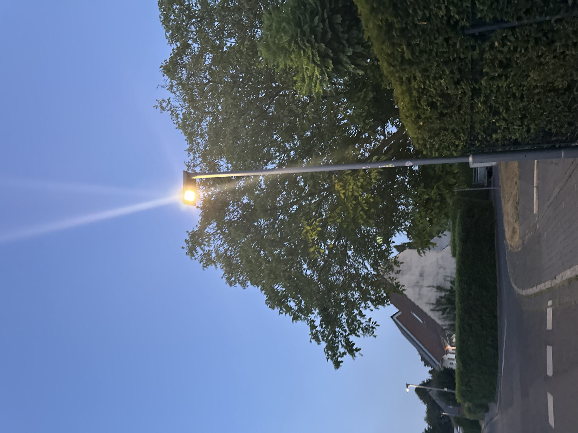 The image depicts a street scene at dusk in Krefeld, Germany. A tall streetlight, illuminated with a warm yellow glow, dominates the right side of the frame, casting a bright beam upwards into the clear blue sky. Lush green trees and hedges form a dense natural border along the right and bottom edges of the image. In the background, a white house with a reddish-brown tiled roof is partially visible, nestled behind the foliage. The street itself is paved with asphalt and cobblestones, with white road markings indicating a pedestrian crossing. The overall atmosphere is serene and quiet, suggesting a residential area at the end of the day.