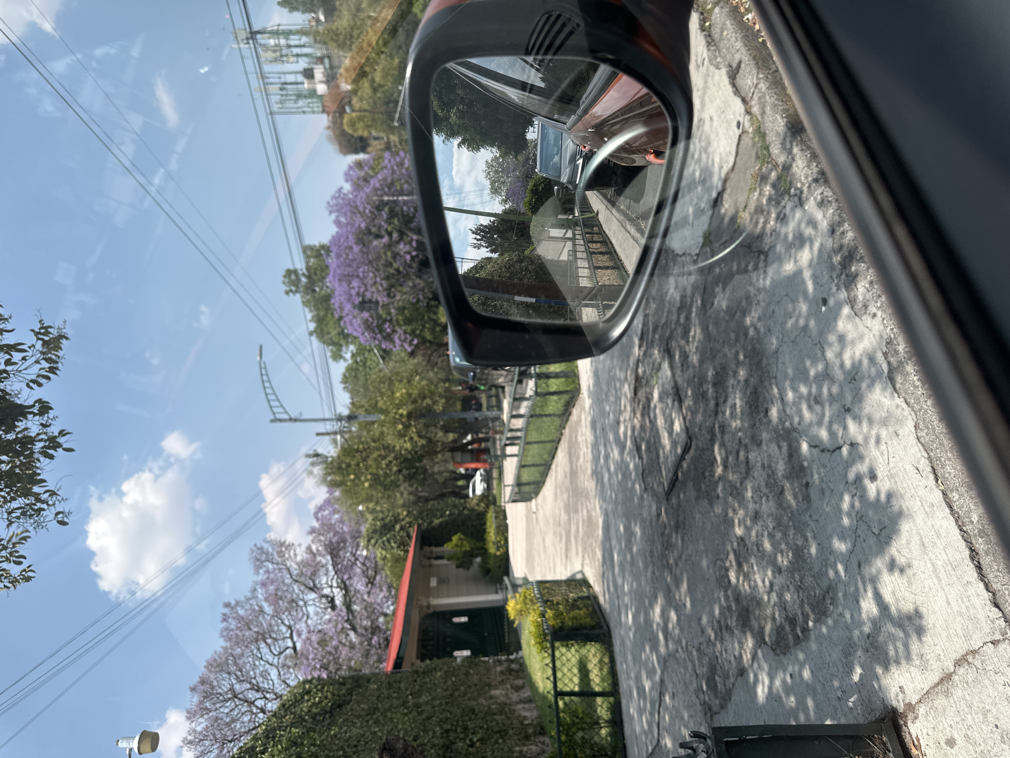 The image, captured from the perspective of a vehicle's interior looking out, presents a bright and sunny street scene. The original photograph is oriented 90 degrees clockwise. A large expanse of clear blue sky with scattered white clouds dominates the upper portion of the frame, crisscrossed by multiple power lines.
In the mid-ground, several trees display vibrant purple blossoms, indicative of Jacaranda trees in full bloom, alongside abundant green foliage. Below the trees, a concrete sidewalk is visible, patterned with dappled shadows cast by overhead leaves. A white house with a red-tiled roof and a dark green gate peeks out from behind a tall, manicured green hedge and a lower metal fence.
Centrally positioned, the car's black side mirror reflects the view behind the vehicle. Within the mirror's reflection, another car can be seen, along with more of the street, a sidewalk, and distant trees under a bright sky. The immediate foreground on the right shows part of the car's dark interior trim and the textured, cracked concrete of the curb and street, with some small debris.
The scene suggests a warm, clear day, likely late morning or early afternoon, during the spring or early summer blooming season for Jacaranda trees. The environment appears to be a residential or semi-residential area. Based on the provided context, the location is Mexico City, Mexico. No legible text is discernible in the image.