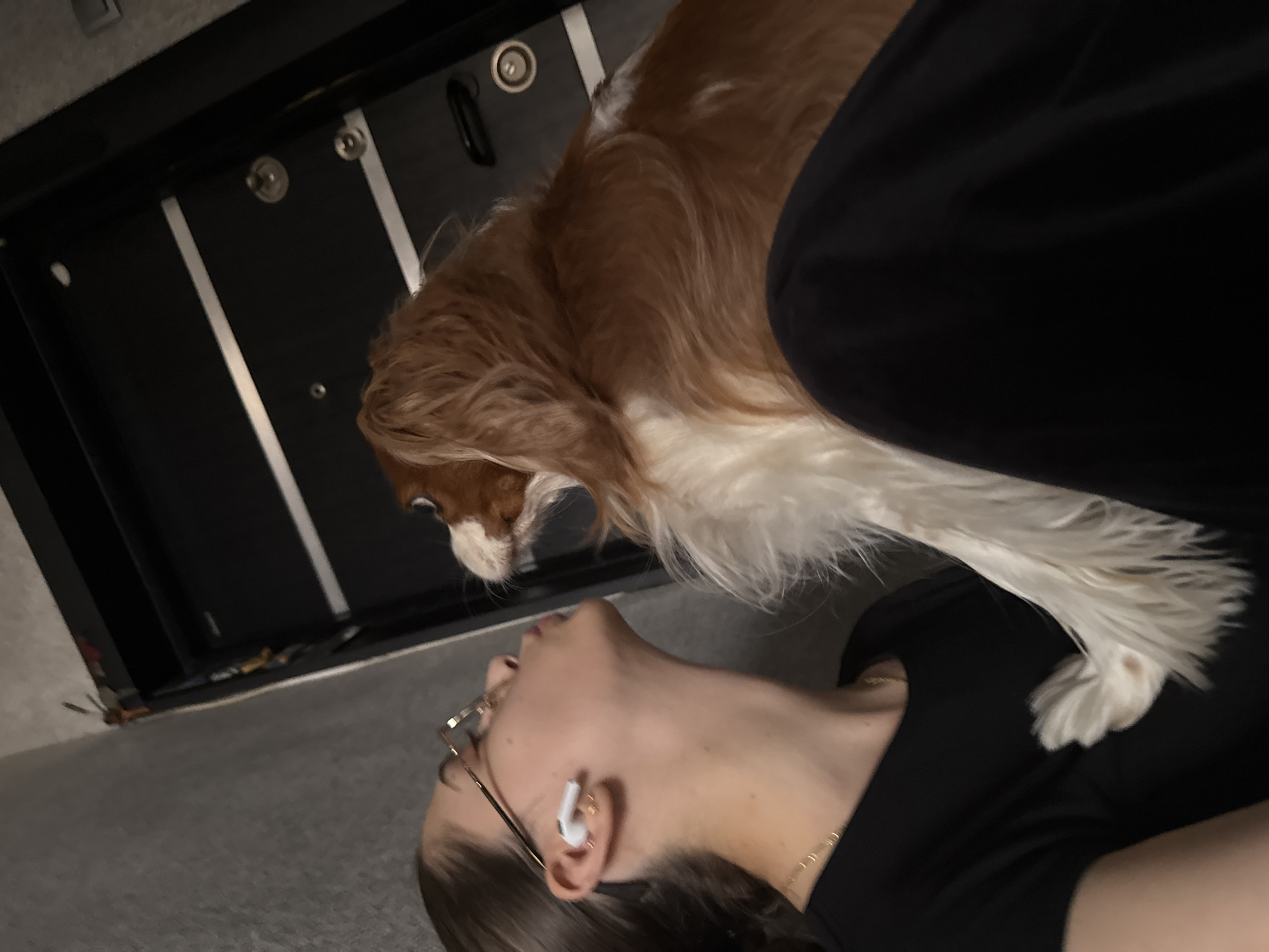 An intimate indoor scene, captured in Sofia, Bulgaria, features a person lying on their back, engaging with a dog. The person is seen from a slightly high angle, displaying dark hair, glasses, and a white earbud in their right ear. They wear a dark top and a thin gold chain necklace.
A medium-sized dog, likely a Cavalier King Charles Spaniel with long, flowing brown and white fur, is positioned above the person's head, looking intently down at their face. The dog's expression suggests curiosity and affection, implying a tender moment of interaction between pet and owner.
The background shows a dark surface, possibly wood or laminate, detailed with vertical silver strips and circular metallic fittings, indicative of modern interior paneling or cabinetry. Below this, a light gray floor or carpet is visible. The lighting appears subdued, suggesting the photo was taken during the evening or in a dimly lit room. There is no visible text in the image. The overall scene conveys a calm and affectionate bond between the individual and their pet.