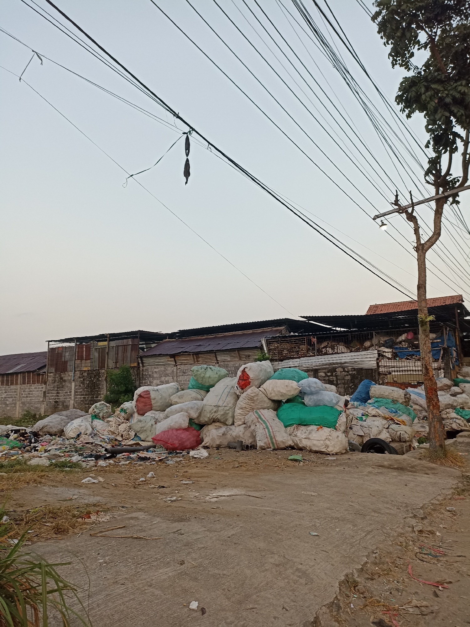 A wide outdoor shot depicts a lot filled with large sacks of material, likely recyclables or waste, in Sumberejo, Indonesia. The sacks are piled high, some appearing to be made of woven material and others covered in plastic sheeting. Among the sacks, there are scattered pieces of debris, including plastic and what appear to be discarded tires. In the background, a row of low-rise buildings with corrugated metal roofs and concrete walls are visible, suggesting an industrial or storage area. Overhead, a complex network of power lines stretches across the pale sky, with a lone tree standing near a utility pole on the right side of the frame. The ground is a mix of dirt and concrete, with dry grass and weeds growing in patches. The overall scene conveys an impression of disarray and neglect.