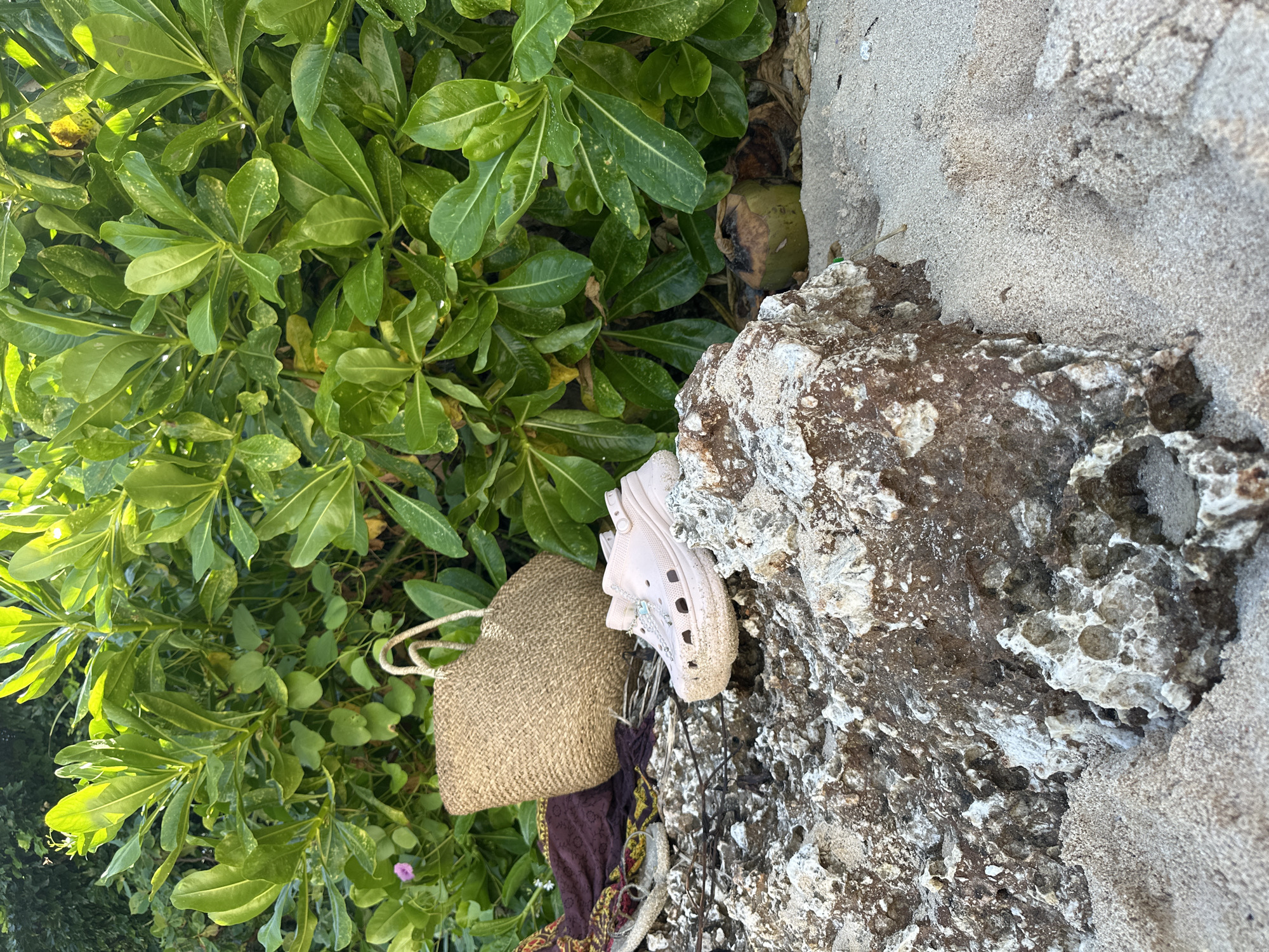 A beach scene is captured, revealing a beige woven tote bag and a pink sandal near dense green foliage and a textured rock formation. The location is suggested to be Kuta Selatan, Indonesia, based on the image prompt. A discarded coconut is located near the rock. A patterned scarf sits next to the tote bag. The sand of the beach is visible. There are no people present in the image.