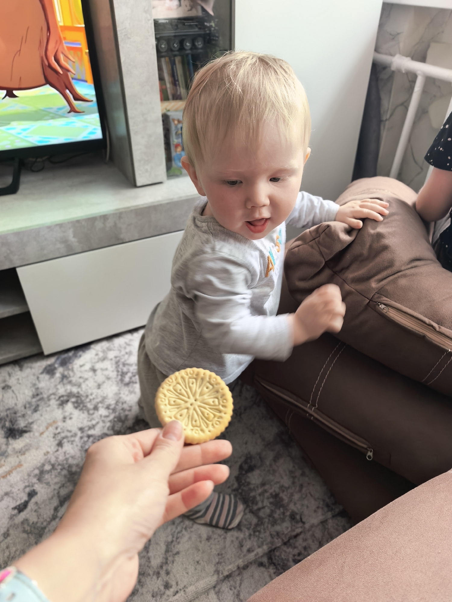 An indoor scene depicts a toddler and an adult's hand offering a cookie. The child, with light blonde hair and fair complexion, is standing upright while holding onto a brown upholstered sofa cushion. The toddler wears a grey long-sleeved shirt and grey pants, with striped socks visible on one foot, and looks down at the cookie with an open mouth. An adult's hand, exhibiting light pink nail polish, extends a round, patterned, light-colored biscuit towards the child. A partial view of a dark sleeve with white polka dots is visible on the far right, suggesting the presence of another individual next to the sofa. The background features a television displaying an animated scene, positioned on a grey multi-compartment media console. Behind the child, a dark shelving unit filled with books is discernible. The floor is covered by a grey rug with abstract dark patterns. A light-colored wall with subtle texture and a white metal rail is visible in the upper right background. The image does not contain any visual information to confirm the specific location as Sterlitamak, Russia.