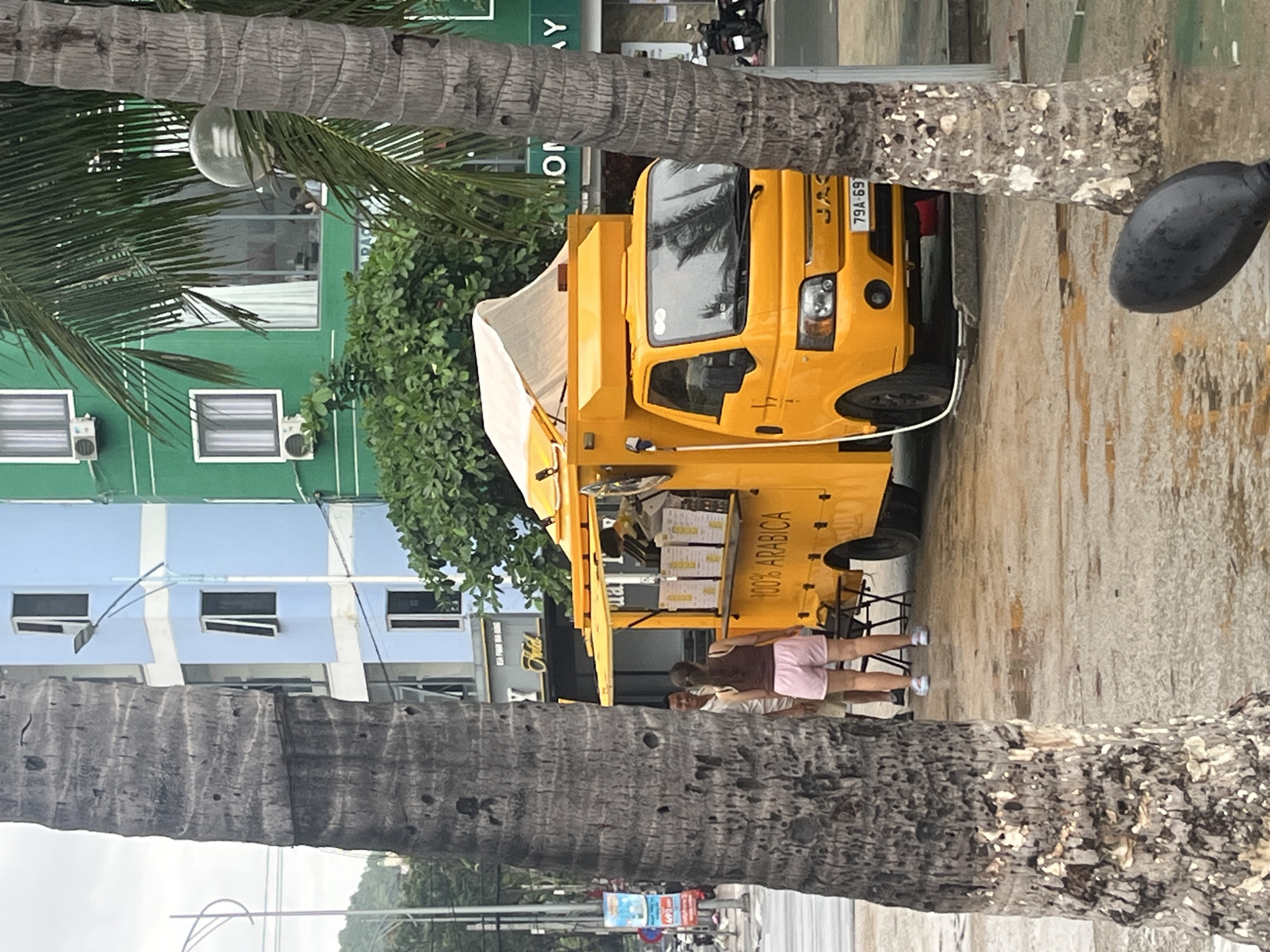 The image captures a vibrant street scene in what appears to be Bac Nha Trang Ward, Vietnam, framed by two large, textured palm tree trunks in the foreground. The scene is set during daytime, with clear weather.
The central focus is a bright yellow food truck, positioned on a paved area, seemingly a sidewalk or street edge. The truck features a light-colored canopy extending from its side, under which two people are visible. One person, wearing pink shorts and a dark top, stands facing the truck, while another is partially obscured behind them. The truck's side clearly displays the text "100% ARABICA" written vertically, indicating it is a coffee vendor. Various items, possibly menus or products, are arranged on the truck's counter. The front of the truck has "JAC" visible on its grille and a Vietnamese license plate beginning with "79A-69...", a common prefix for Khanh Hoa province.
In the background, behind the truck and trees, are several buildings. To the left, a multi-story building with a light blue and white striped facade features several windows and external air conditioning units. To the right, a greener building is visible, with some text like "Y" and "ON" partially discernable on a sign. Further in the distance, a motorcycle is parked near the green building. Lush green foliage and bushes are scattered throughout the mid-ground, adding to the tropical ambiance. The overall impression is a casual, everyday street vendor scene.