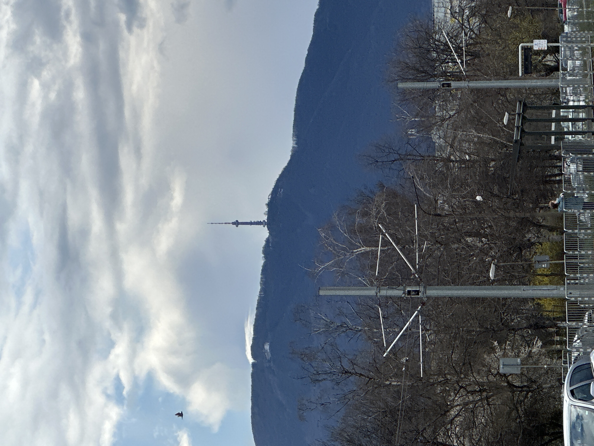 The image shows a landscape in Sofia, Bulgaria, featuring the Kopitoto TV tower atop Vitosha Mountain. To the right of the mountain are trees without leaves, streetlights, a parking lot full of shopping carts, and parked cars. In the sky to the left are white clouds with blue sky. There is also a single small bird in flight in the lower left quadrant of the sky.
