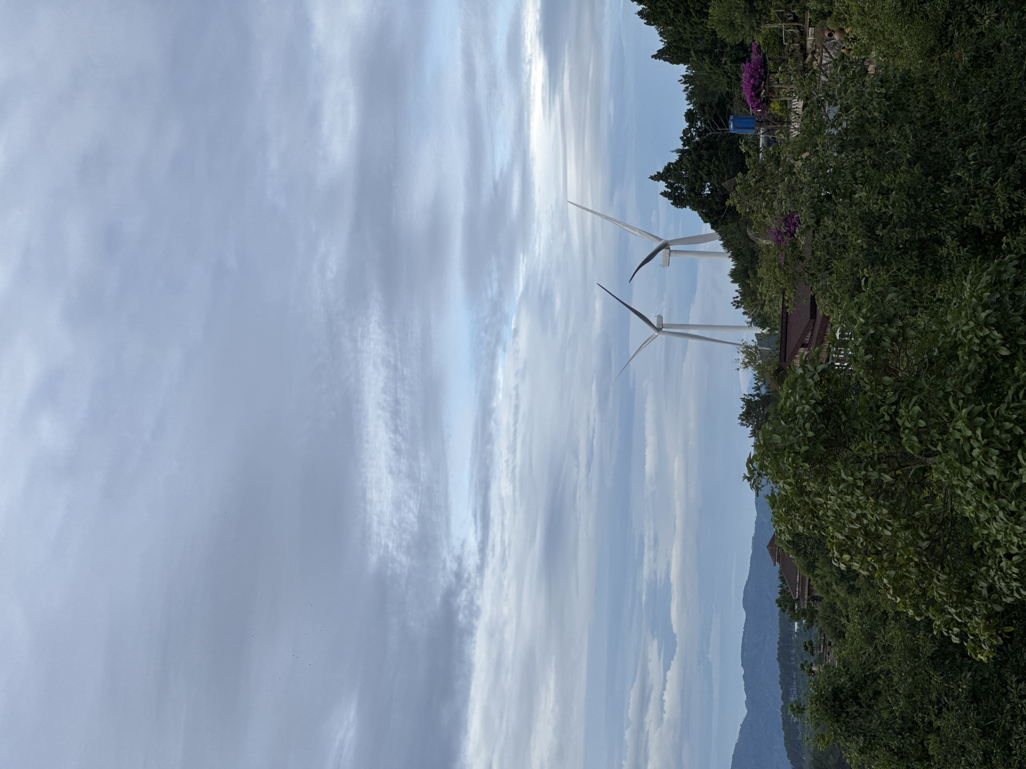 The image shows two wind turbines on a hill in Phát Chi, Vietnam. The sky is cloudy with streaks of light and dark gray. The turbines are white with three blades each. The hill is covered in green trees and vegetation. There is a glimpse of mountains in the background. Some residential buildings are visible nestled amongst the trees. The image is taken from a low angle. Purple flowers are visible amongst the trees.