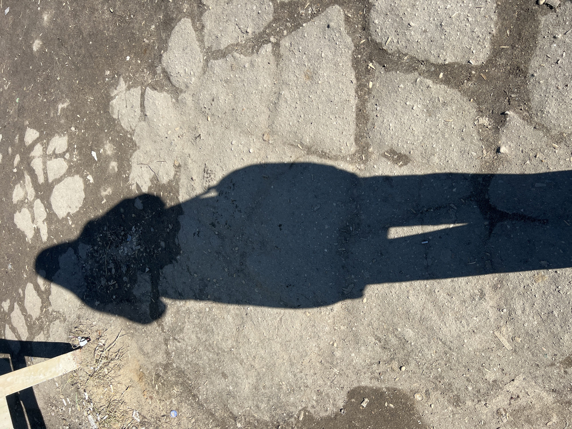 A prominent, elongated shadow of a standing human figure, consistent with the perspective of the camera operator, extends across the central and lower portions of the frame. The scene depicts an outdoor ground surface in Большевик, Russia, composed of weathered, light grey concrete pavement fragmented by irregular dark patches of soil and detritus. The ground is littered with assorted debris, including cigarette butts, small pieces of white paper, dry plant material, and various unidentifiable fragments. In the upper-left quadrant, a vertical, light-colored metallic beam is partially visible, its base surrounded by accumulated dirt and additional refuse, including a small blue cap-like object. Strong, direct sunlight from an off-frame source illuminates the environment, casting sharp shadows.
