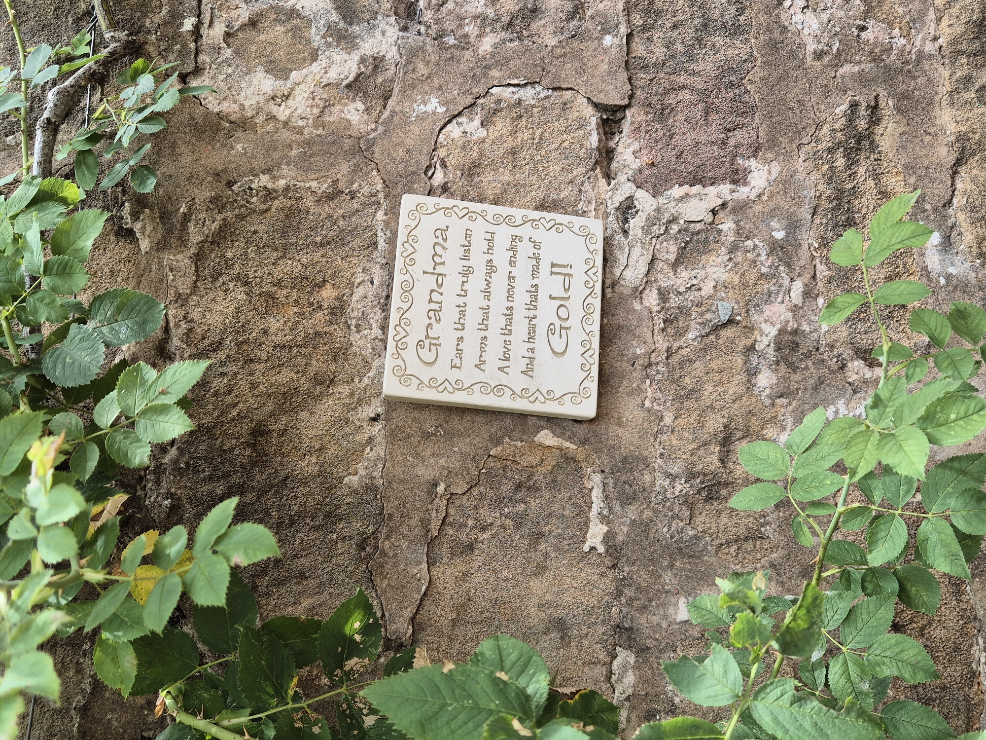 A plaque inscribed with the words "Grandma, Ears that truly listen, Arms that always hold, A love that's never ending, And a heart that's made of Gold!" is affixed to a weathered stone wall. Lush green foliage from an unseen plant drapes over the wall, partially obscuring the plaque and the stone. The stone wall is rough and textured, showing signs of age and wear with cracks and patches of discolored mortar. The setting appears to be outdoors, possibly in a garden or an old building's exterior. The image was captured in Gedling, United Kingdom.