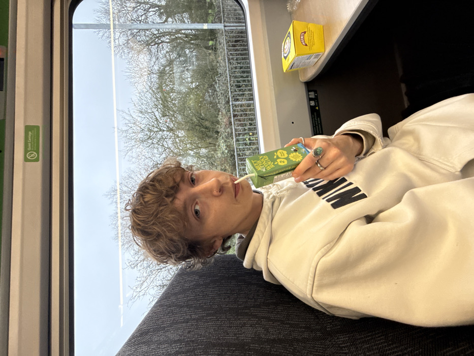 A person with short, curly brown hair and a visible nose piercing is seated inside a Great Western Railway train carriage, traversing the district of Mid Devon, United Kingdom. The individual, wearing a light-colored hoodie with a "NIKE" logo and two rings (one plain silver, one with a turquoise stone) on their left hand, holds a green "MEET THE WONKY SQUAD" juice box with a straw to their mouth, looking directly at the camera. A yellow Marmite box rests on the adjacent table surface to their right. The train's interior includes grey upholstered seating, and an overhead panel features a "Quiet Carriage" sign. Through the window, a landscape of bare deciduous trees and shrubs is visible under an overcast sky, suggesting a cold season.