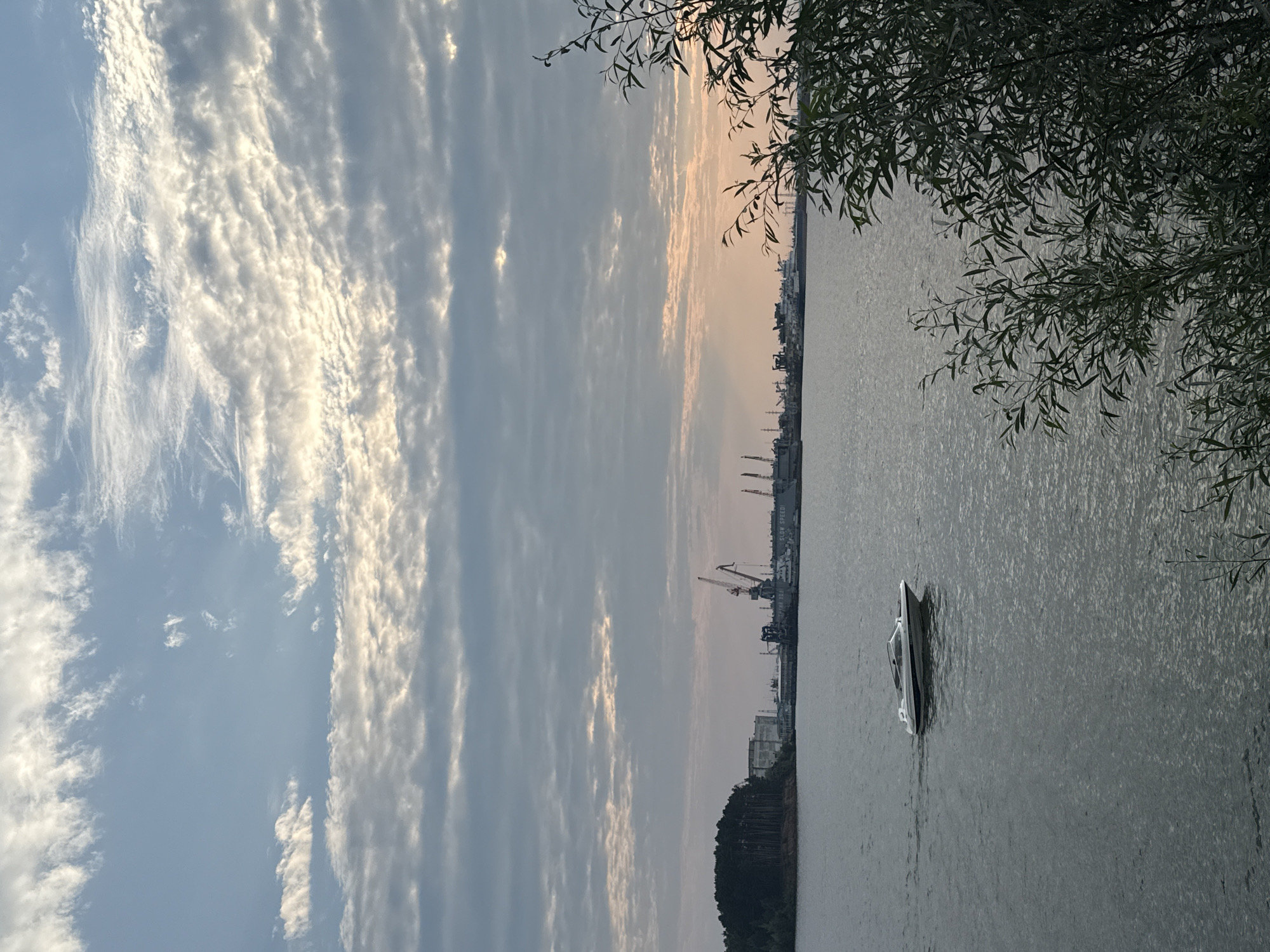 The image depicts a wide view of the Kama River in Chaikovsky, Russia, during what appears to be late afternoon or early evening. The sky is filled with dynamic clouds, ranging from wispy cirrus formations to more textured, layered clouds that catch the soft, diffused light of the setting sun, casting a warm glow on the horizon. In the foreground, the calm water of the river reflects the sky. A white speedboat with a dark trim is visible in motion, creating a subtle wake as it travels across the water.
Along the far bank of the river, a forested shoreline is visible on the left, leading to a stretch of industrial infrastructure. This includes several cranes, suggestive of a port or industrial area. Buildings and docked vessels are also present, indicating active shipping or manufacturing operations. The scene is framed on the right by the dark foliage of trees, their leaves appearing lush and green, partially obscuring the view of the river and the industrial landscape beyond. The overall impression is one of a serene natural environment juxtaposed with industrial activity, bathed in the soft, atmospheric light of twilight.
