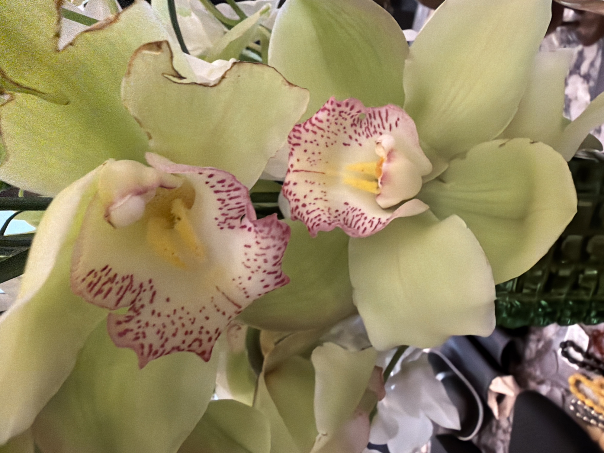 The image is a close-up, indoor photograph of several pale green orchids with delicate pink speckles on their petals. The orchids are arranged in a bouquet, with some flowers in focus and others slightly blurred. One orchid in the foreground displays a prominent yellow stamen. The background is indistinct, but hints of a dark, possibly tiled surface and some out-of-focus objects suggest an indoor setting. There is no indication of the city of Moscow, Russia, or any specific location within it. There are no people or actions depicted in the image.