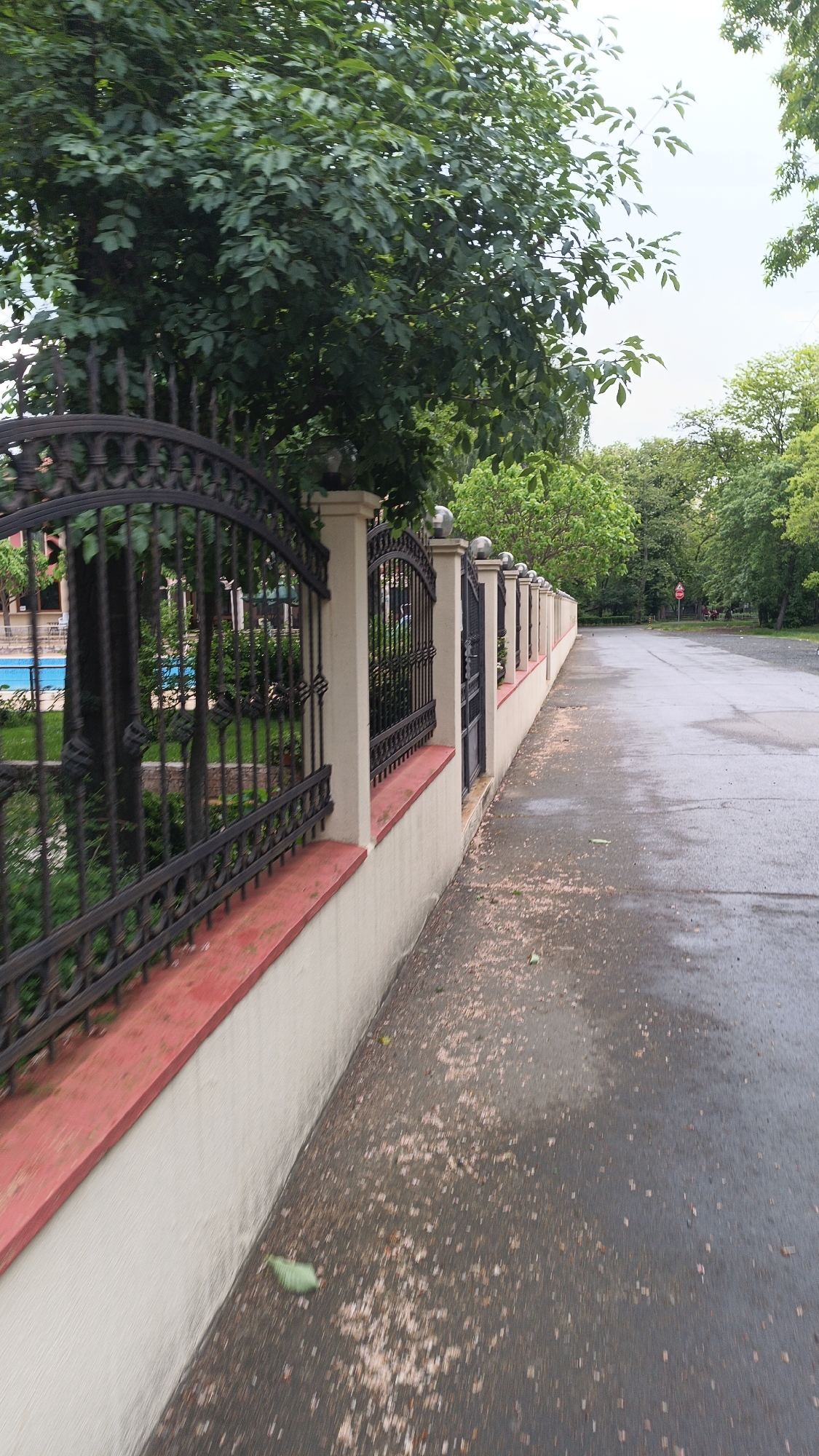 A low-angle, eye-level shot depicts a paved road with fallen leaves alongside a concrete wall topped with a dark metal fence. The wall has a red base and white upper portion. The fence consists of arched metal sections interspersed with concrete pillars, each capped with a spherical ornament. Behind the fence, there are trees and glimpses of a blue swimming pool. The road leads into the distance, where a red traffic sign is visible. The location appears to be a residential or park area within a city.