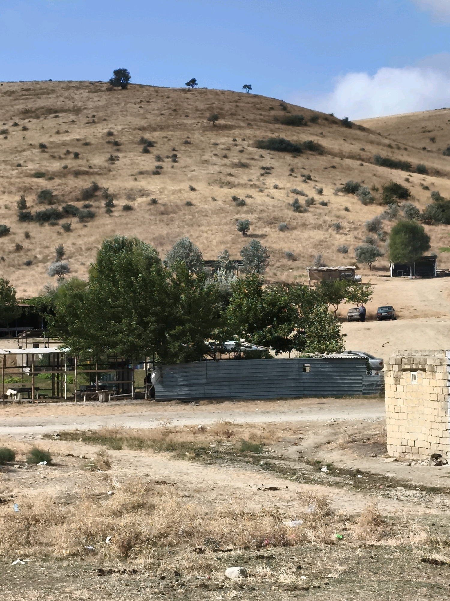 This image shows a semi-arid landscape with rolling hills in Qalaşıxı, Azerbaijan. The hills are covered in dry, golden grass and scattered shrubs and trees. In the foreground, there is a dirt path leading through a slightly overgrown area with some scattered trash.
To the left and center of the image, there are several structures. A large, mature green tree stands prominently in the center. To its left, there appears to be an animal enclosure with a roof and fencing, possibly for goats, with a person standing near it. Behind these structures, a corrugated metal fence runs across the scene. Further back, there are a couple of small, rustic buildings with roofs, and two cars parked on the dusty ground. One of these buildings has a visible person standing near the cars.
To the far right of the image, a section of a building constructed from light-colored stone blocks is visible, with a small window. The sky is a clear blue with some wispy clouds. The overall impression is of a rural or semi-rural setting in a dry climate.