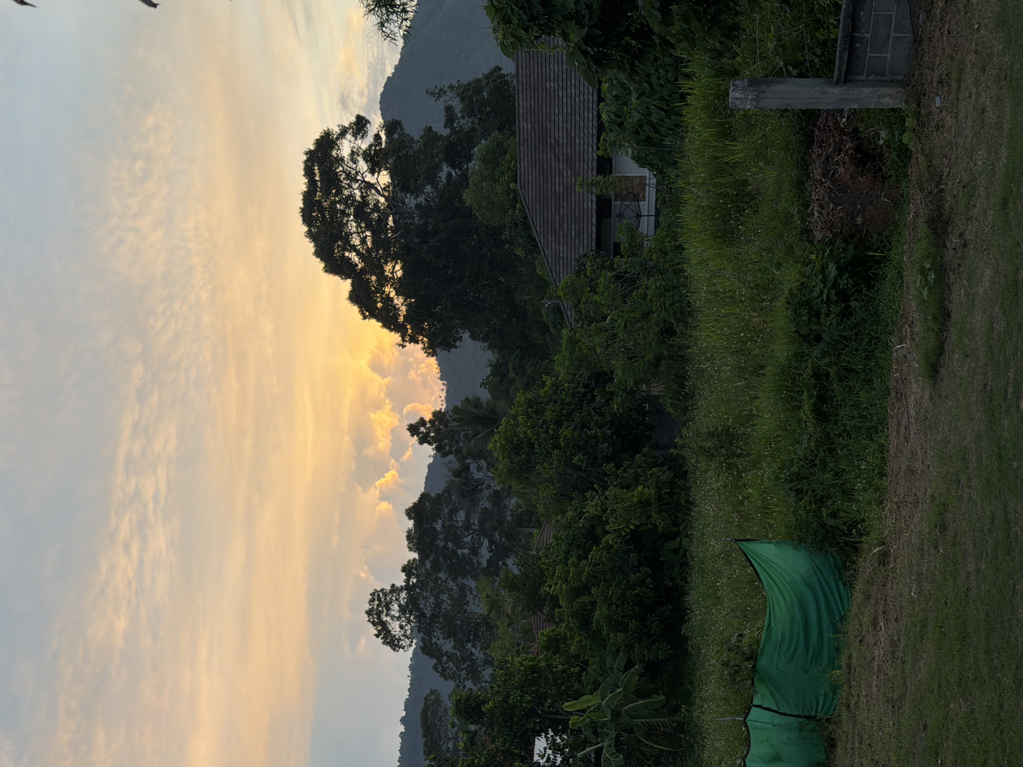 An outdoor, medium shot captures a serene sunset over Baan Mae Nam, Thailand, painting the sky with hues of orange and yellow. A lush, green landscape dominates the foreground, with tall trees and dense foliage creating a sense of seclusion. A rustic, single-story house with a dark tiled roof is partially visible amidst the greenery, hinting at a tranquil dwelling. In the distance, rolling hills and mountains are silhouetted against the vibrant sky, adding depth and grandeur to the scene. A green tarp, possibly a construction barrier or shade cover, is stretched across a section of the foreground, adding a touch of human presence to the otherwise natural setting. The overall atmosphere is one of peace and natural beauty, a quintessential depiction of rural Thailand at dusk.