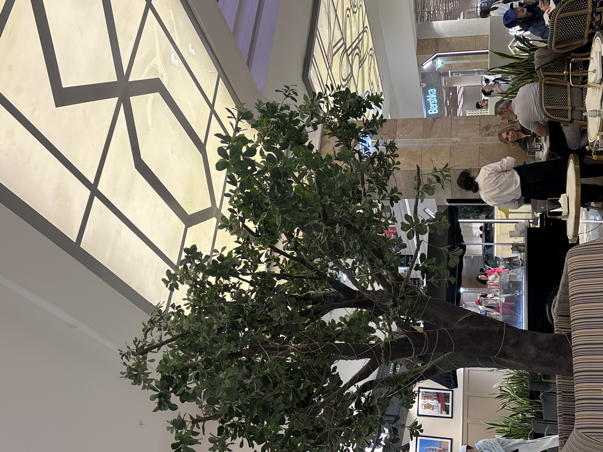 The image shows an indoor scene, possibly a cafe or a restaurant, likely located in a shopping center. The scene is captured from a low angle, with a large tree dominating the foreground. People are seated at tables, including a group with a woman wearing a white shirt who is standing. A store sign for "Bershka" is visible in the background. There are design elements in the background ceiling, and pictures are hung on the wall next to the tree trunk. Based on the store name and the general architectural style, it's possible this is inside a shopping mall in Yerevan, Armenia.