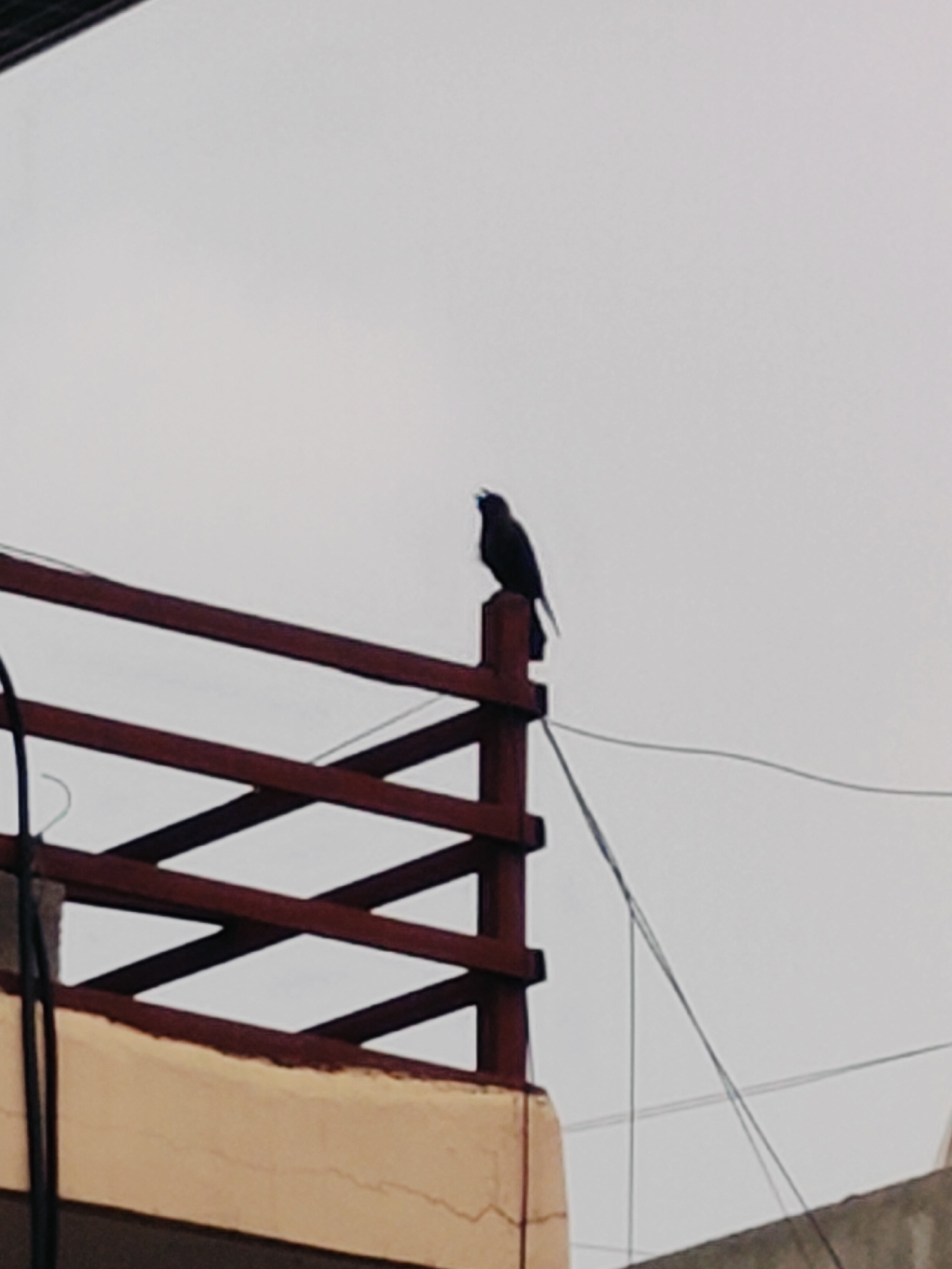 A black bird is perched on a dark red, angular railing against a pale sky. The railing appears to be part of an outdoor structure, possibly a balcony or roof. Electrical wires are visible running across the background. The lower portion of the image shows a beige wall with some texture. The scene is devoid of human presence or any discernible city landmarks. The overall impression is one of a quiet, overcast day, focusing on the solitary bird and its perch. There are no specific elements in the image that would allow for definitive identification of the location as Gurgaon, India.