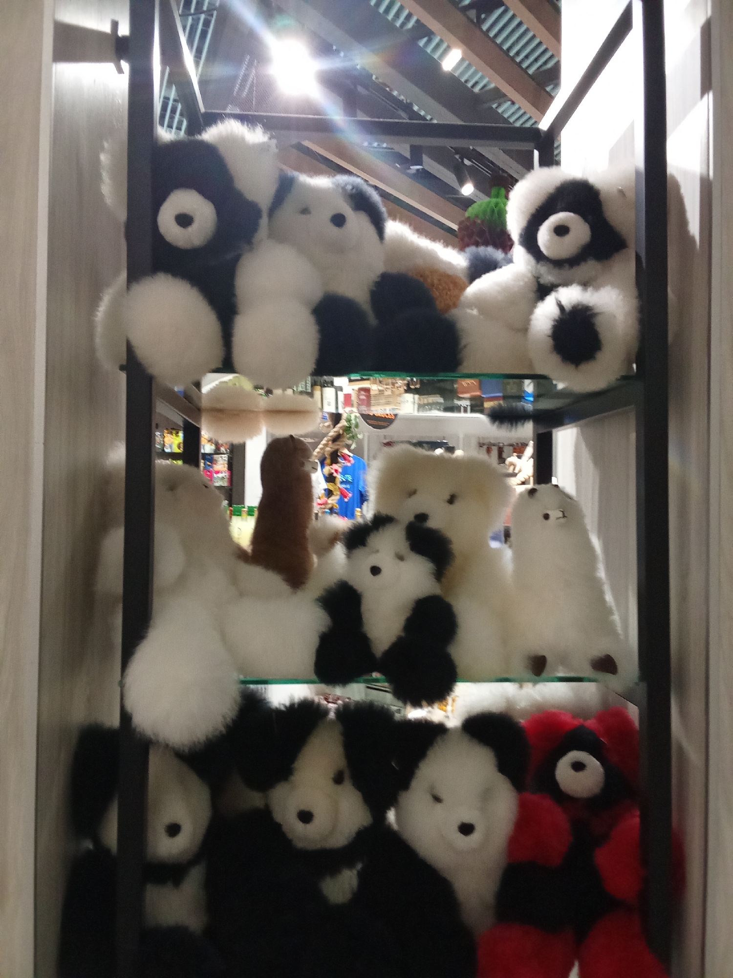 The image shows a retail display of stuffed animals, likely made of alpaca wool, arranged on three shelves within a dark metal rack. The top shelf features two black and white panda-like bears and one tan and white bear. The middle shelf contains several white, fluffy stuffed animals, including what appears to be a llama, a dog, and a penguin. The bottom shelf displays more black and white stuffed animals resembling dogs or bears, and a red and black stuffed bear. The background suggests an indoor retail environment with wooden ceiling beams and bright lighting, causing lens flare. The display is likely located in Pudahuel, Chile, given the context provided.