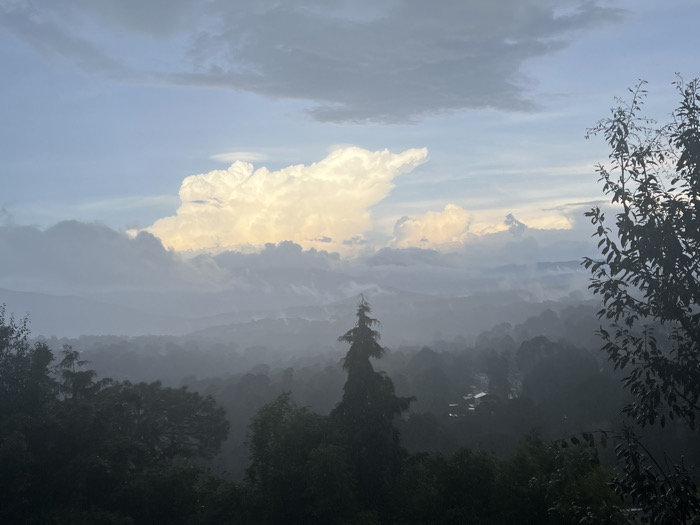 A panoramic view of a natural landscape is presented, observed from an elevated vantage point in the city of Unknown, Unknown. The upper portion of the frame features a sky with varying cloud formations; a prominent, brightly illuminated cumulus cloud with white and warm yellow tones is situated in the upper center, indicative of direct sunlight. Below this, layers of darker gray clouds and widespread atmospheric haze or mist extend across the mid-sky, gradually blending into the distant terrain. The lower two-thirds of the image comprise a dense, forested valley or mountainous region, heavily obscured by the pervasive mist, which reduces visibility and softens details. Numerous dark green tree canopies form a continuous, undulating cover throughout the mid-ground and background. A tall, slender conifer is visible centrally in the mid-ground, rising above the general tree line. A silhouetted tree branch with leaves frames the right foreground. No individuals, specific man-made structures, or discernible objects are prominently visible within the obscured landscape, and no actions or interactions are depicted.