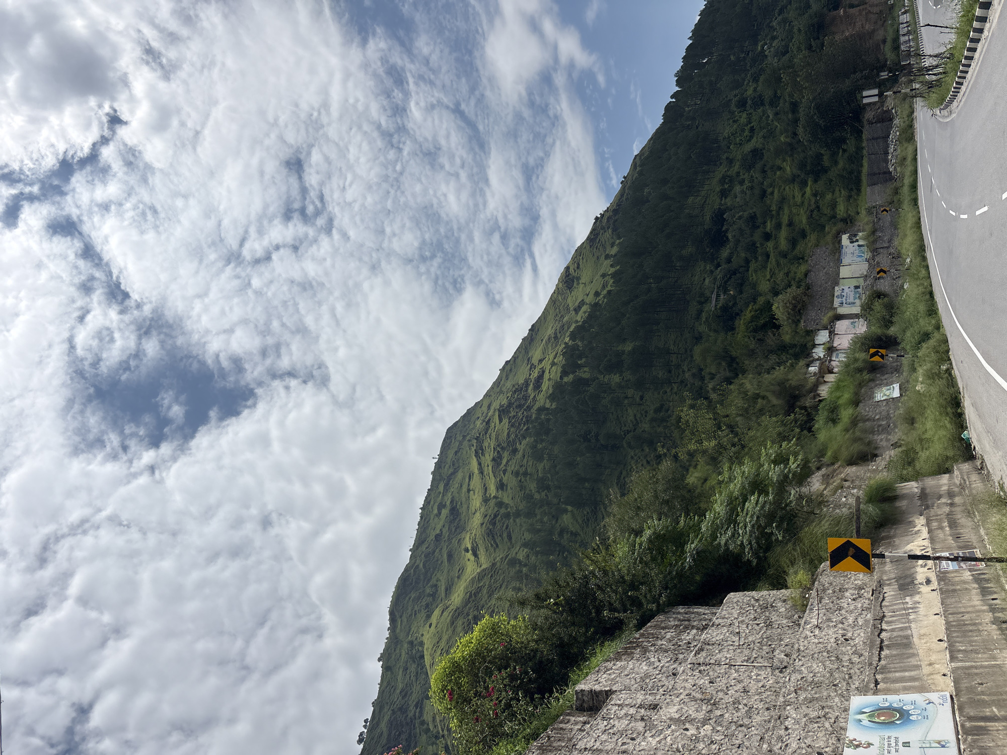 The image depicts a scenic mountain road in Pirdi, India. A winding asphalt road with white dashed lines curves through a lush green landscape. On the left side of the road, a steep, rocky mountainside is covered in dense green trees, with patches of grass and a stone retaining wall. A bright pink flowering bush adds a splash of color to the foliage. Several traffic signs, including a yellow chevron sign indicating a curve, are visible along the roadside. In the distance, the mountain slopes continue upwards, disappearing into a sky filled with dramatic white clouds against a blue backdrop. The overall scene conveys a sense of natural beauty and the tranquility of a mountain drive.