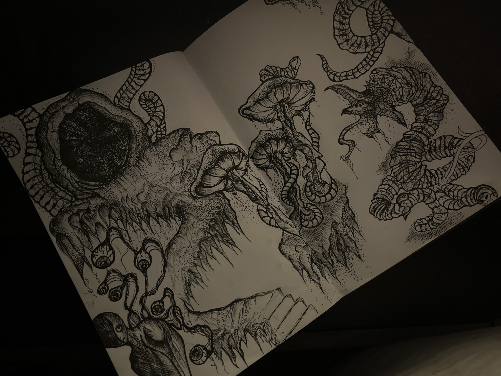 This media file presents a detailed, monochromatic pen and ink drawing spanning two open pages of a sketchbook or art book. The artwork is captured in dim lighting against a dark, featureless background.
The subjects depicted are a collection of fantastical and surreal organic forms, creatures, and motifs. On the left page, a large, cavernous structure dominates, resembling a gaping, dark maw or a deeply textured cave, from which several segmented, tentacle-like appendages extend. Below this, a slender, bald humanoid figure is shown looking upwards, connected by organic tendrils to multiple disembodied eyeballs floating in the air. Jagged, sharp-edged organic formations also emanate from the central structure.
The right page features several intricately detailed mushroom-like growths, complete with visible gills and textured caps, some intertwined with snake-like, segmented bodies. Above these, a large, serpentine creature is rendered with a textured, scale-like pattern, multiple fin-like or wing-like protrusions, and an elaborate, sharp-featured head. Another segmented, serpentine entity is visible at the upper left of this page.
The overall activity or event depicted is an imaginative display of a rich, complex artwork. The notable details include the highly intricate line work, cross-hatching, and stippling techniques used to create texture and depth, lending the piece a dark, macabre, and surreal aesthetic. The drawing is entirely black ink on white or off-white paper. The photograph itself shows uneven lighting, with a diagonal band of artificial light and shadow falling across the right page. No visible text is present within the artwork or on the pages. The setting is clearly an indoor environment where the artwork is laid out, but no specific location cues for Sofia, Bulgaria, are visible within the art itself. The artwork evokes a sense of the uncanny, the fantastical, and perhaps the psychologically unsettling.